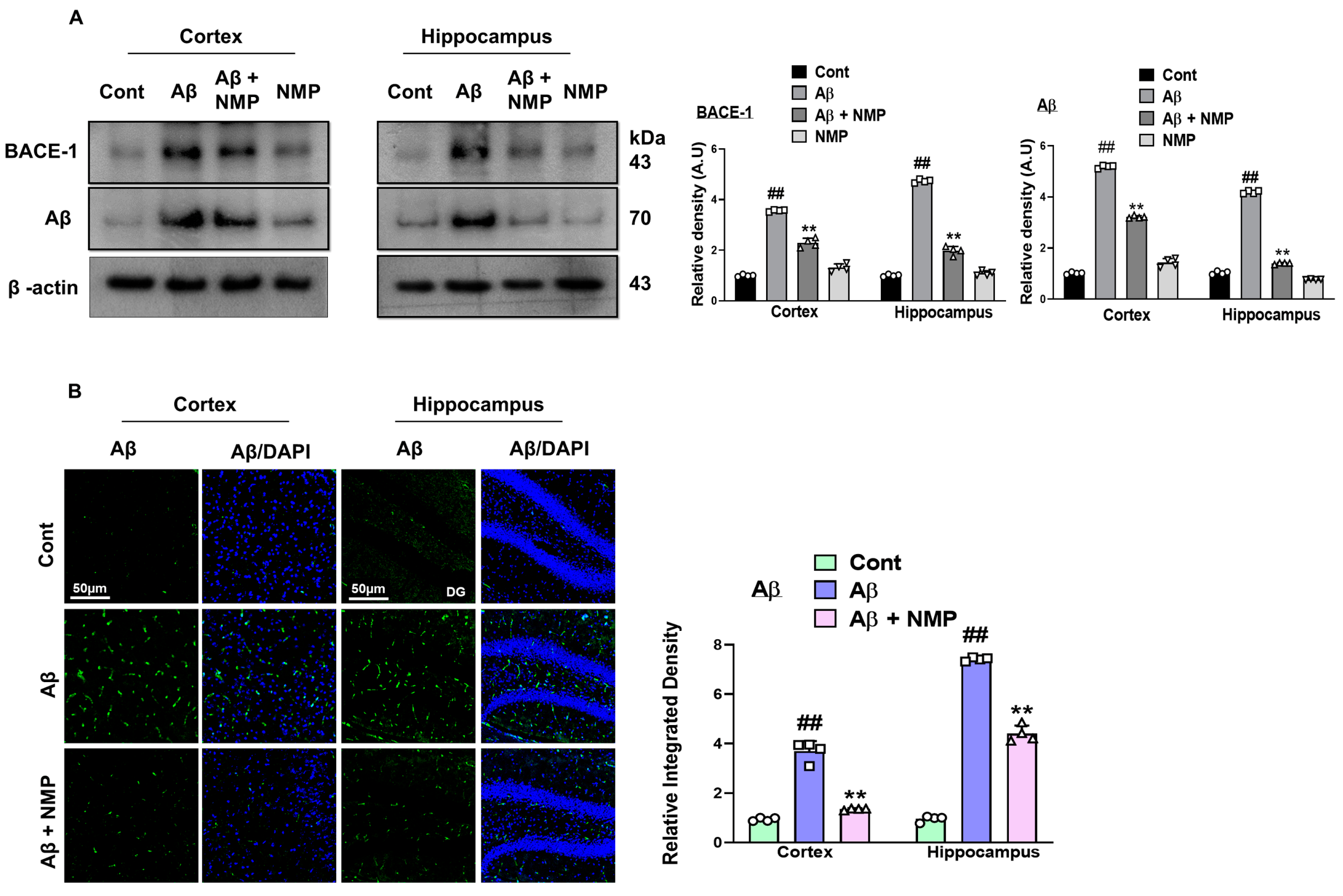 Nutrients 15 04986 g002