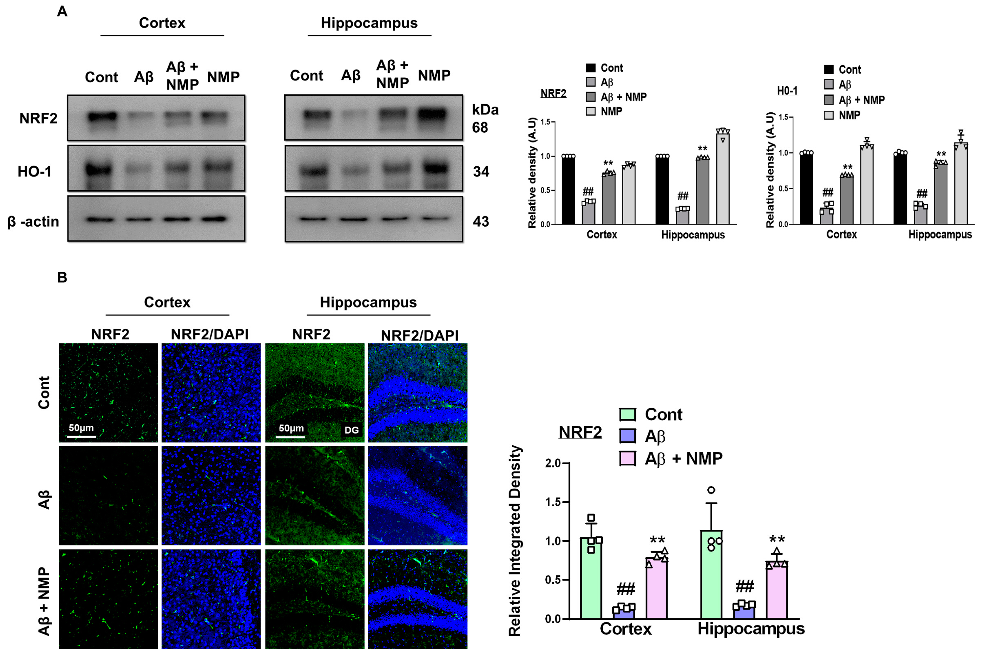 Nutrients 15 04986 g004