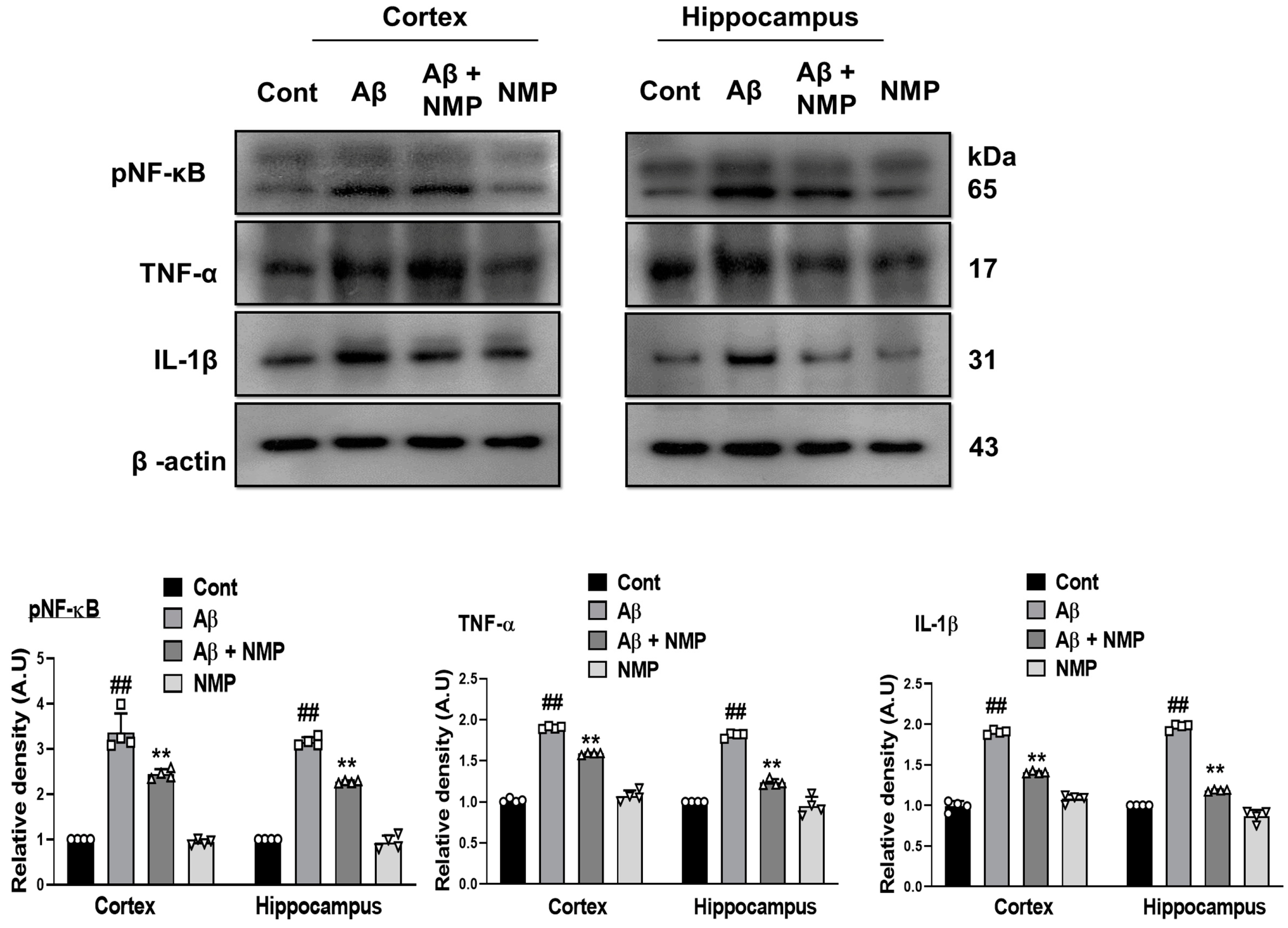 Nutrients 15 04986 g005