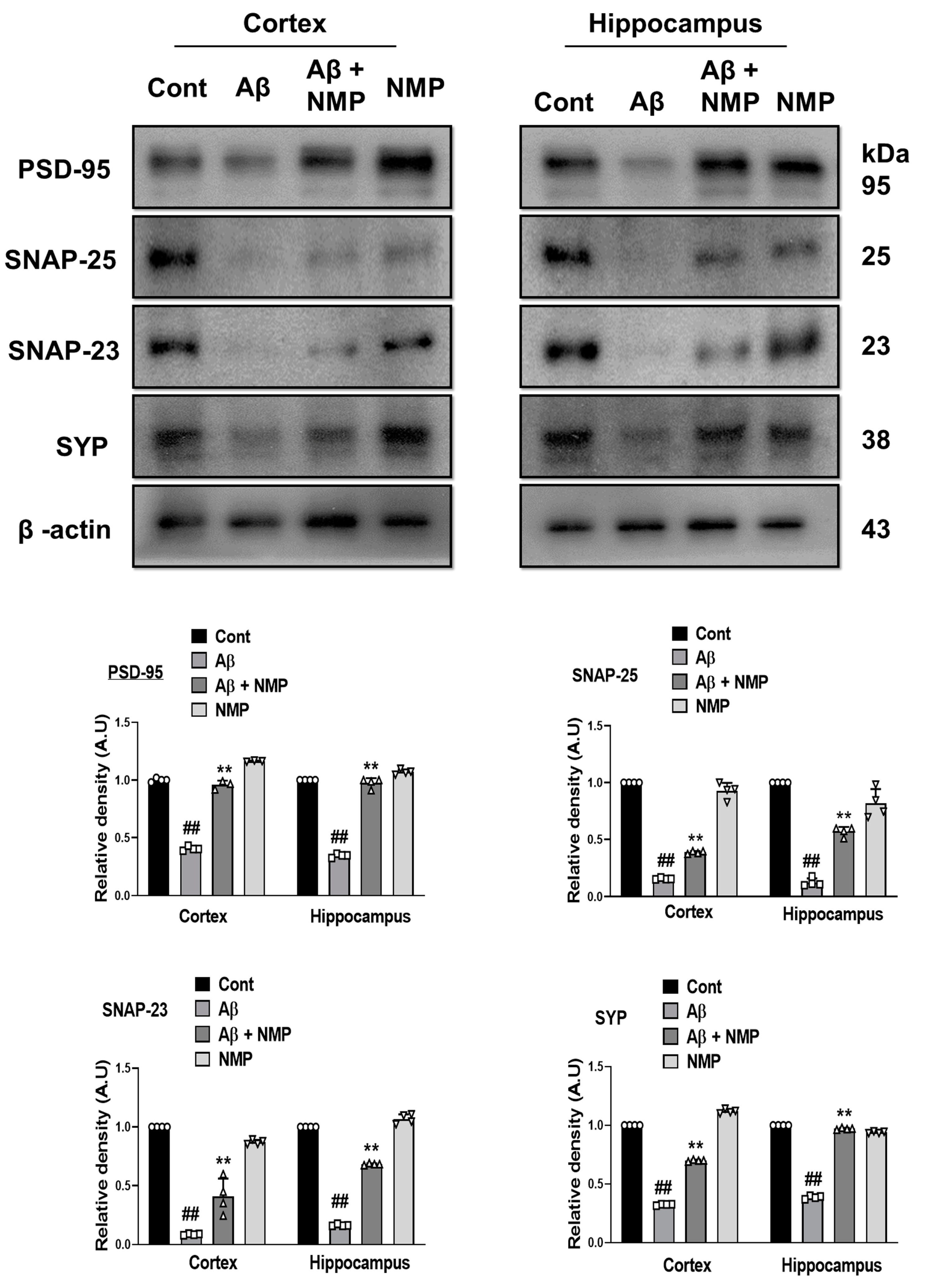 Nutrients 15 04986 g006