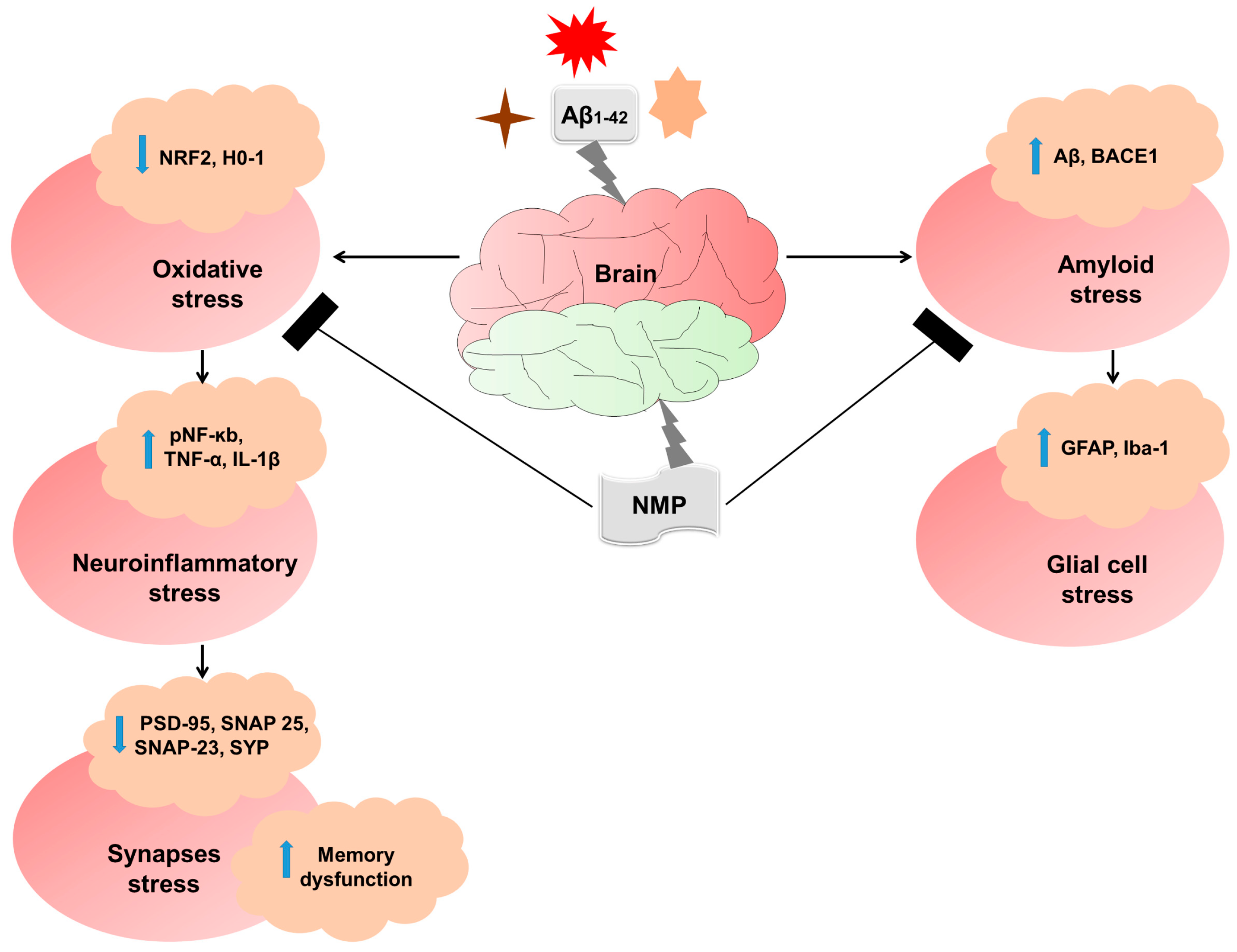 Nutrients 15 04986 g008