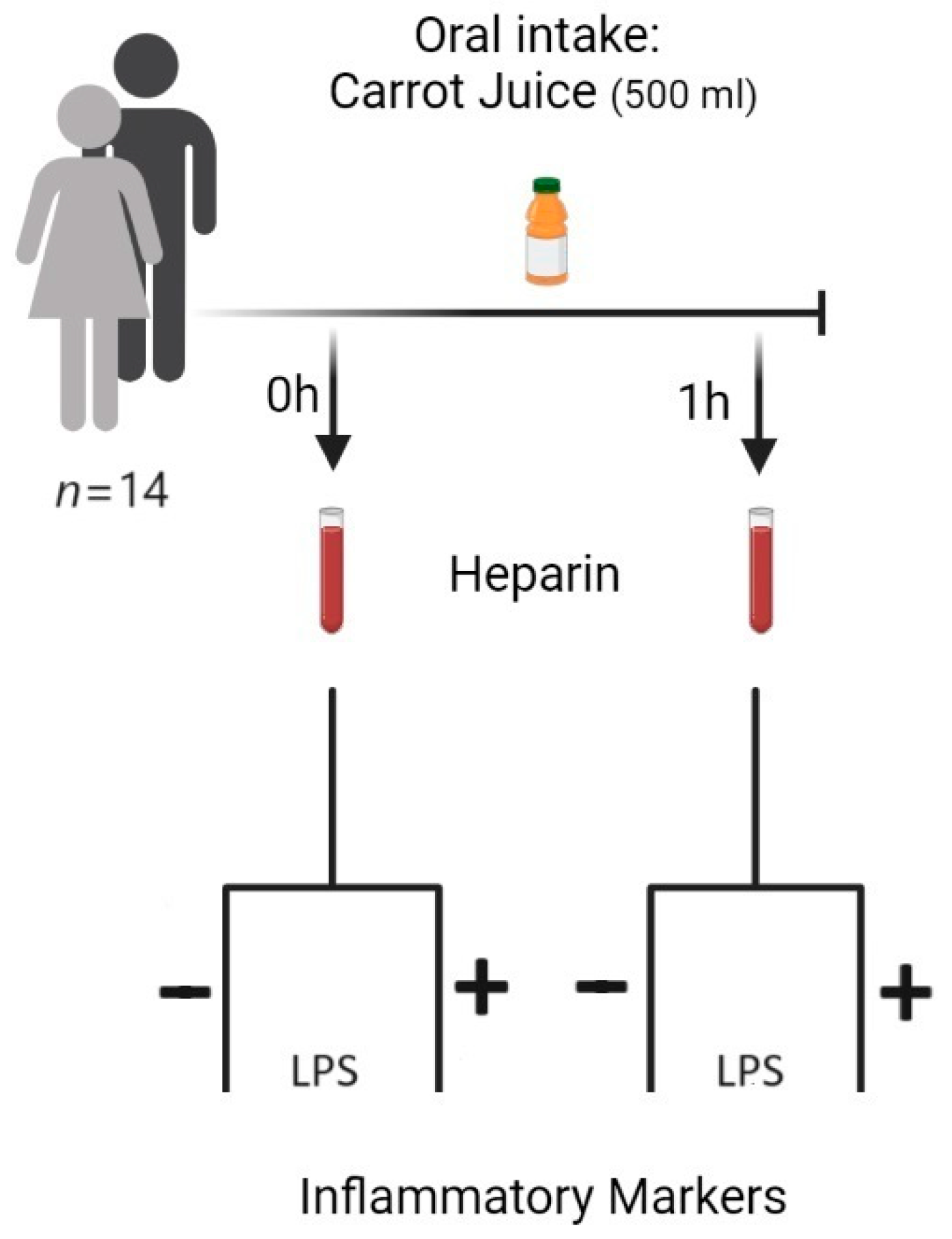 Nutrients 15 05002 g001