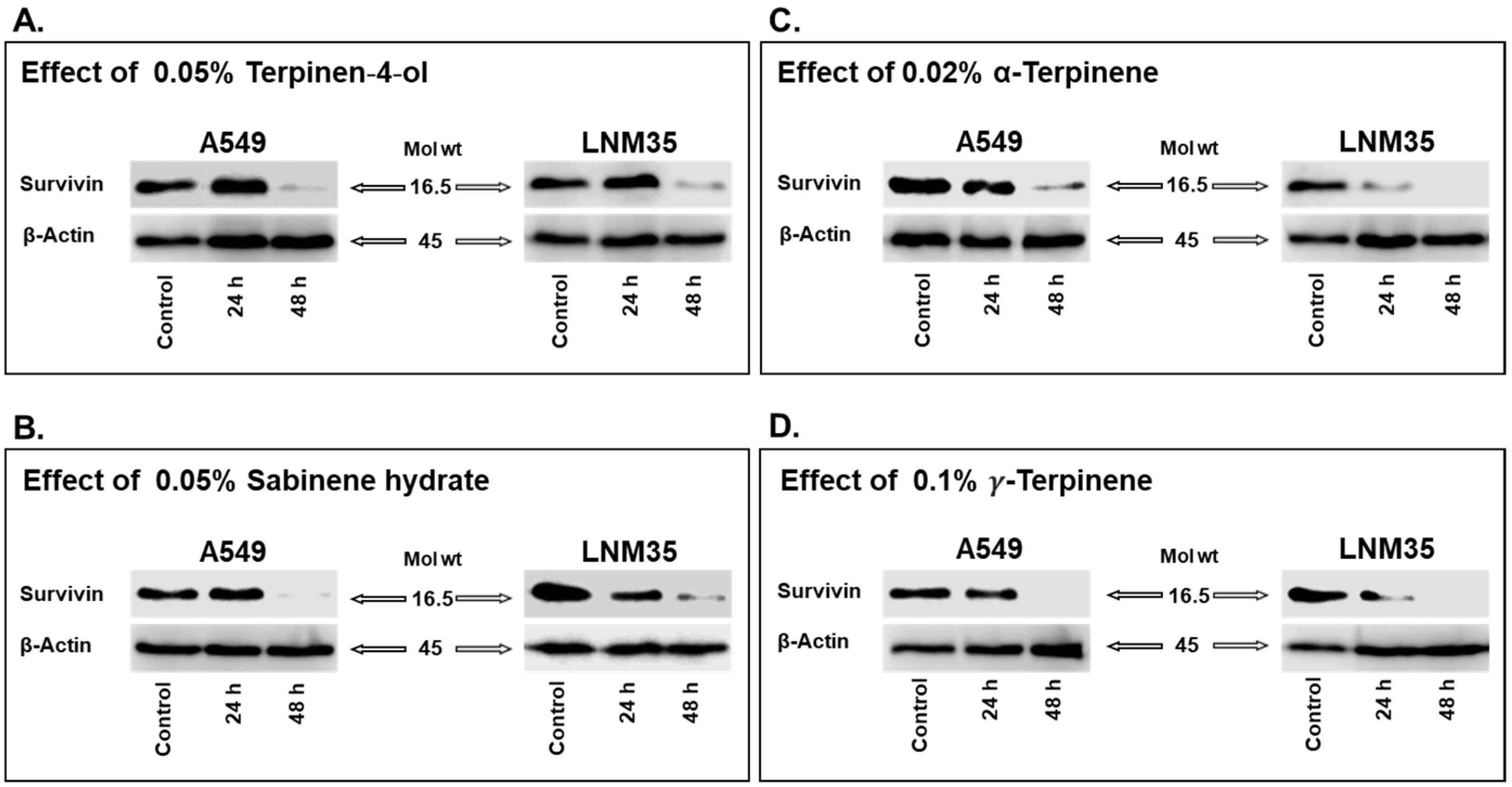 Nutrients 15 05010 g005