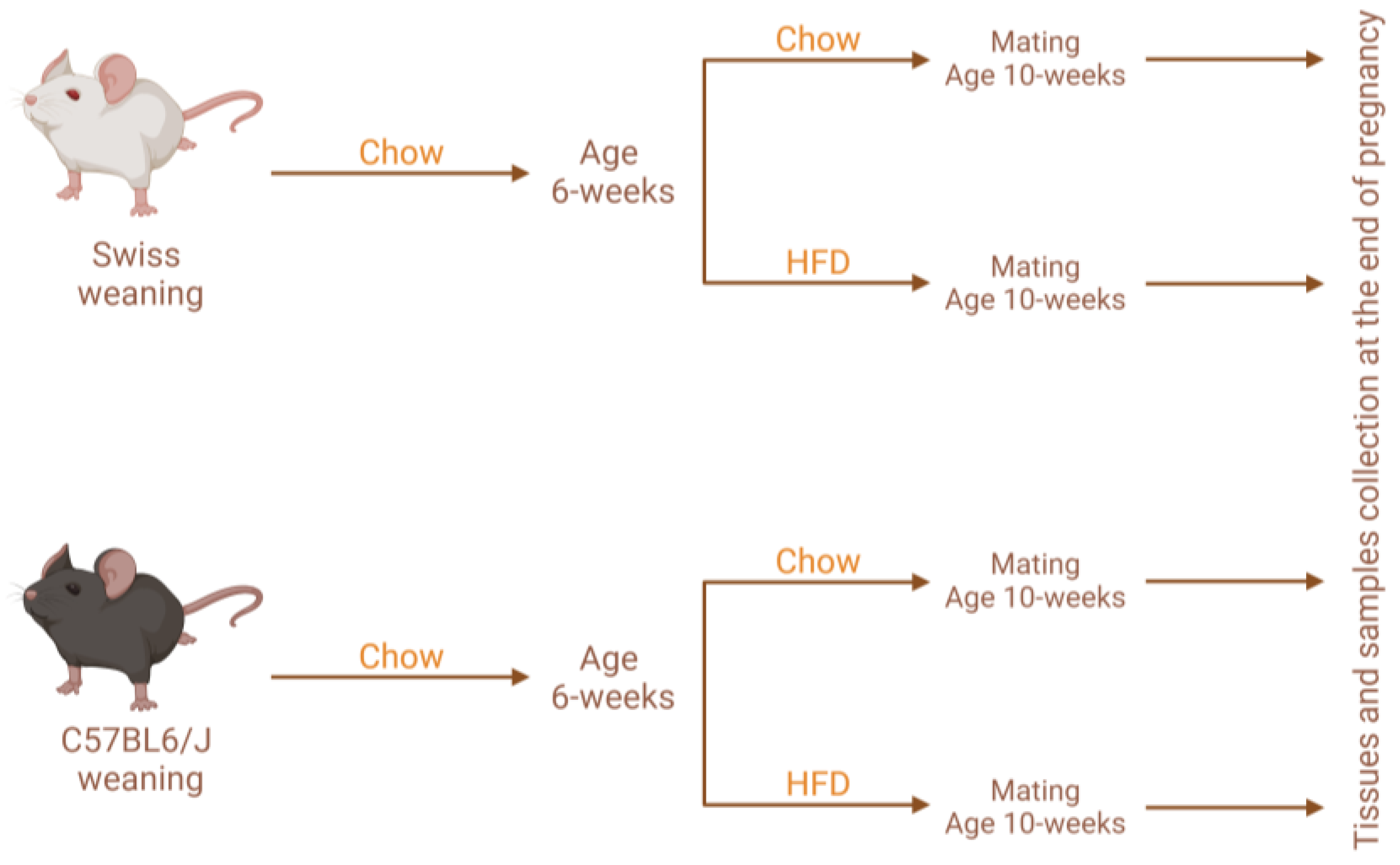 Nutrients 15 05041 g001 Nutrients 15 05041 g001