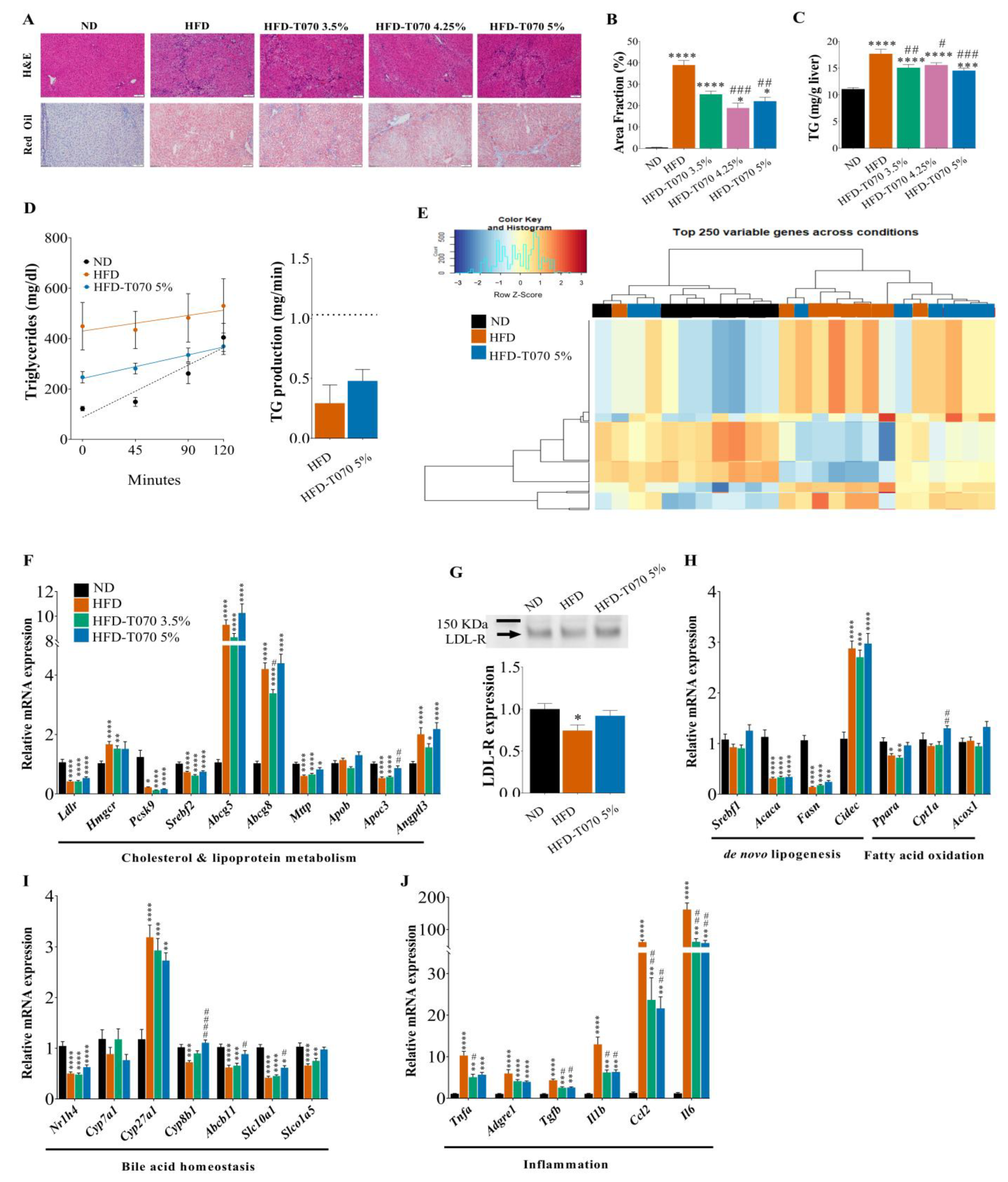 Nutrients 15 05056 g002