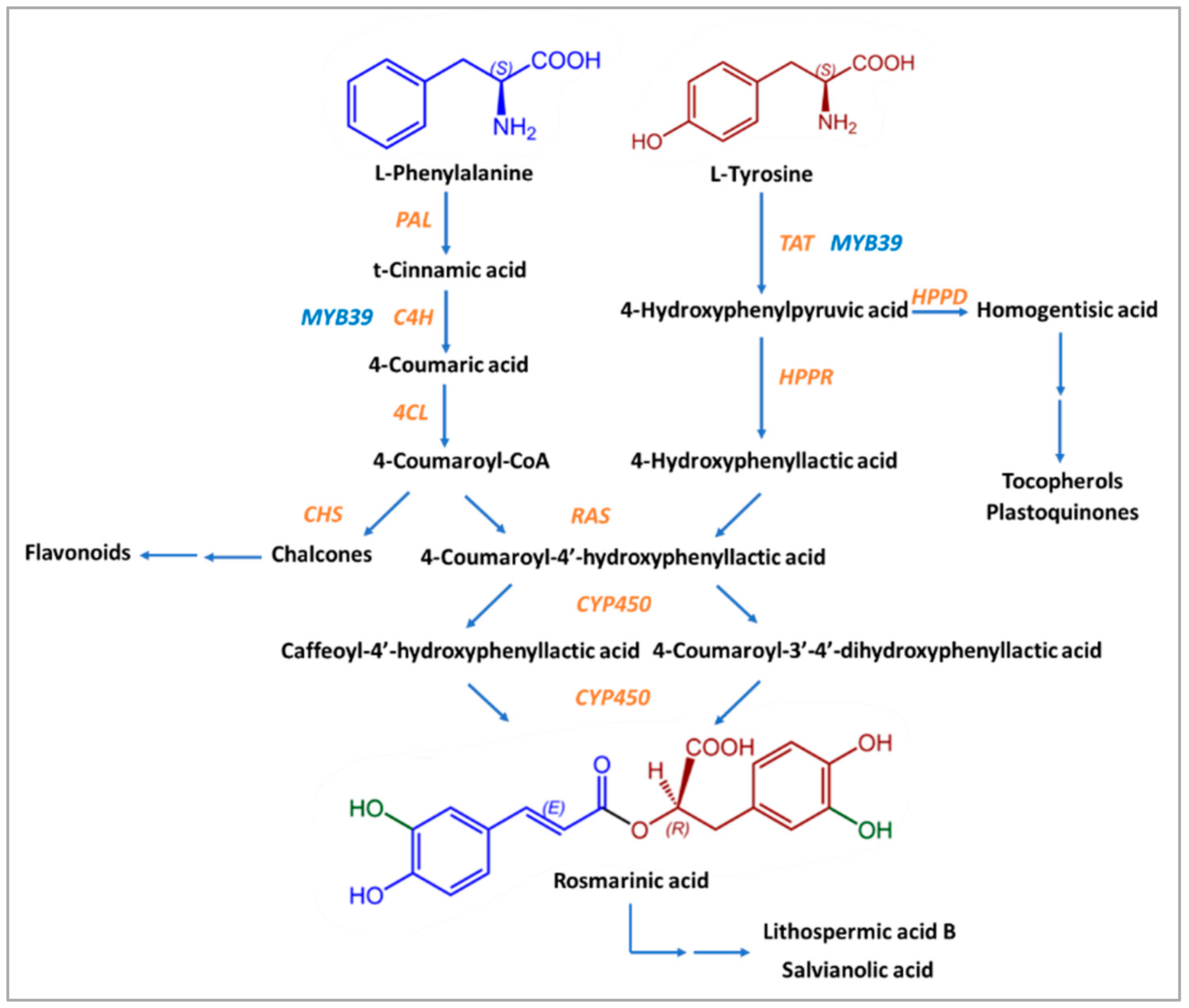 Nutrients 16 00002 g002