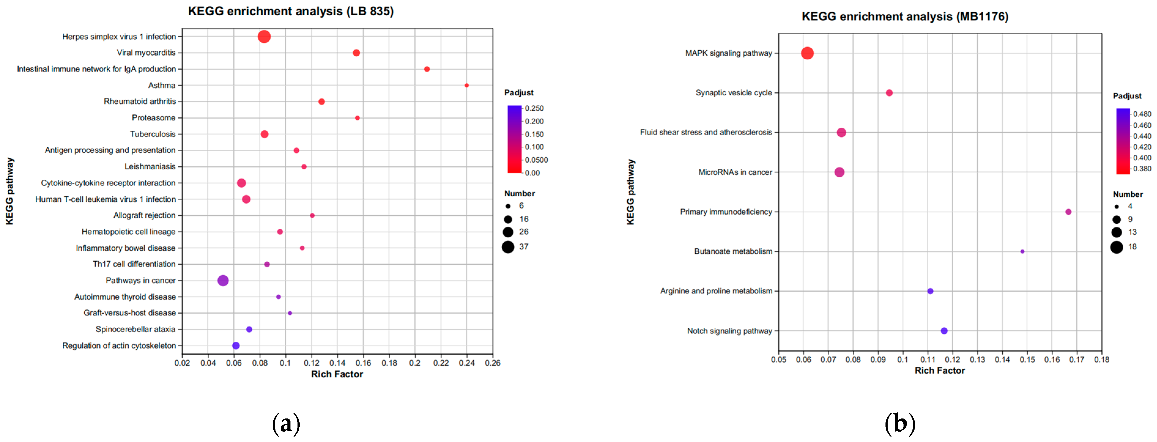 Nutrients 16 00007 g014 Nutrients 16 00007 g014