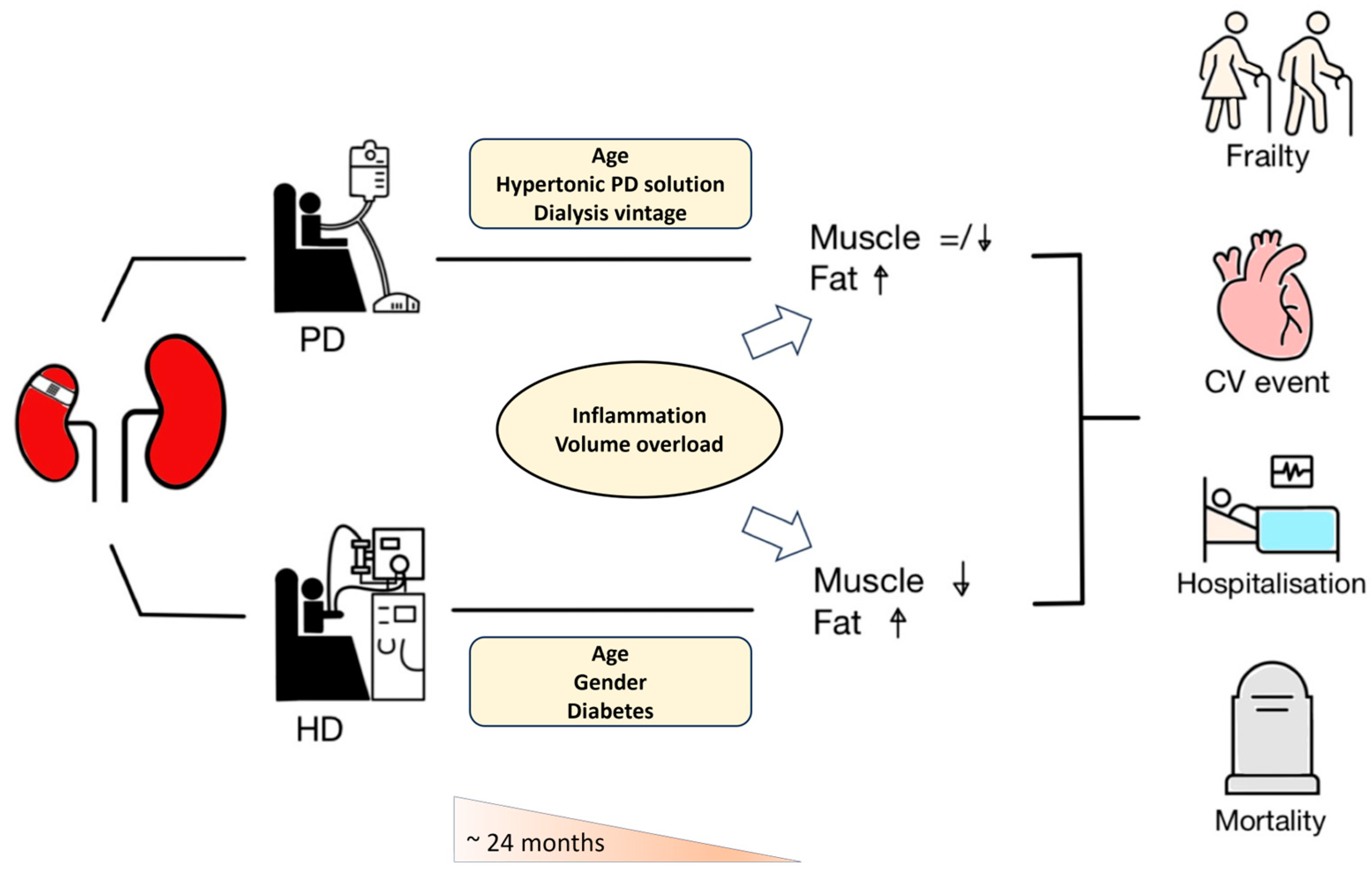 Nutrients 16 00015 g001