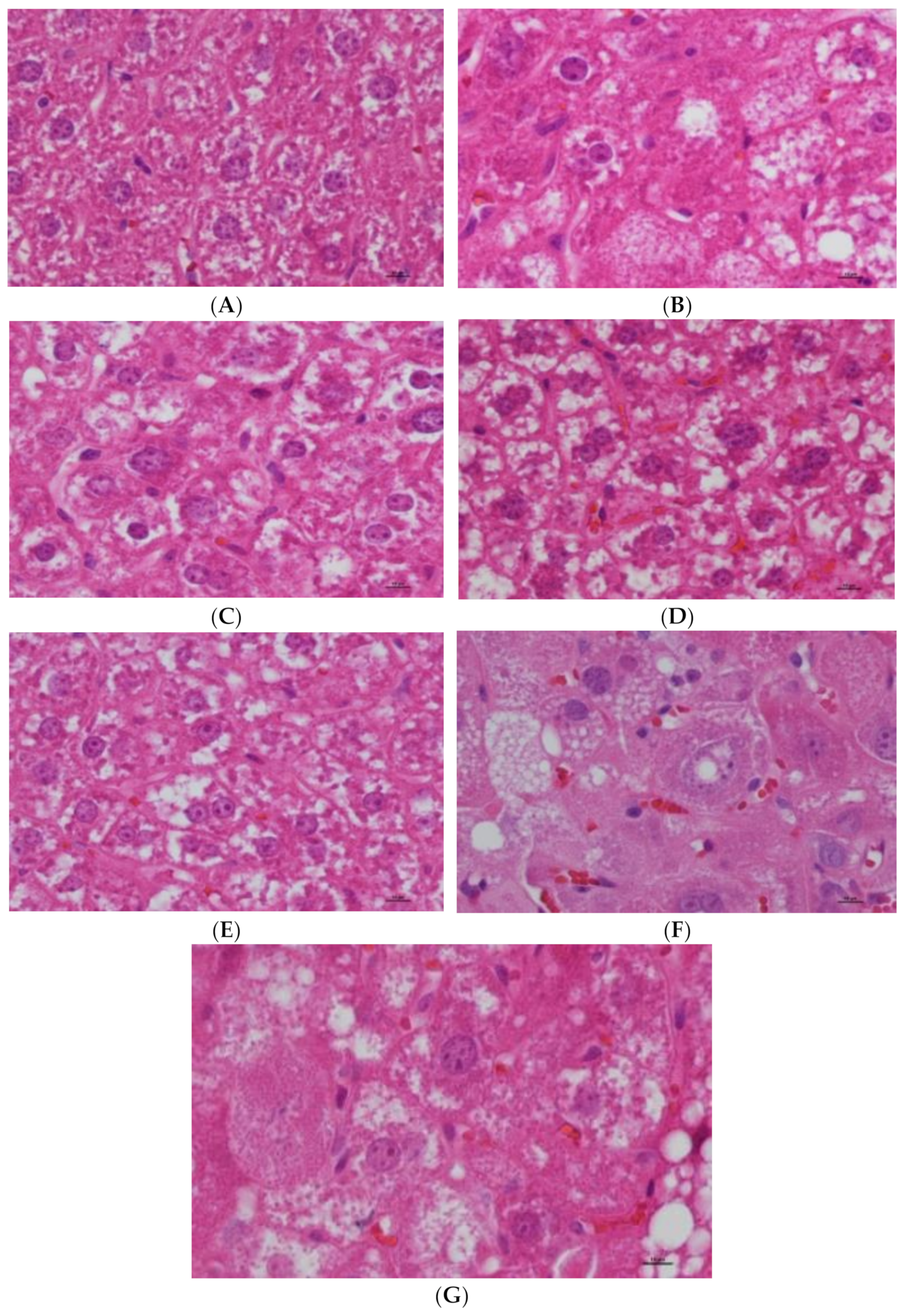 Nutrients 16 00025 g006