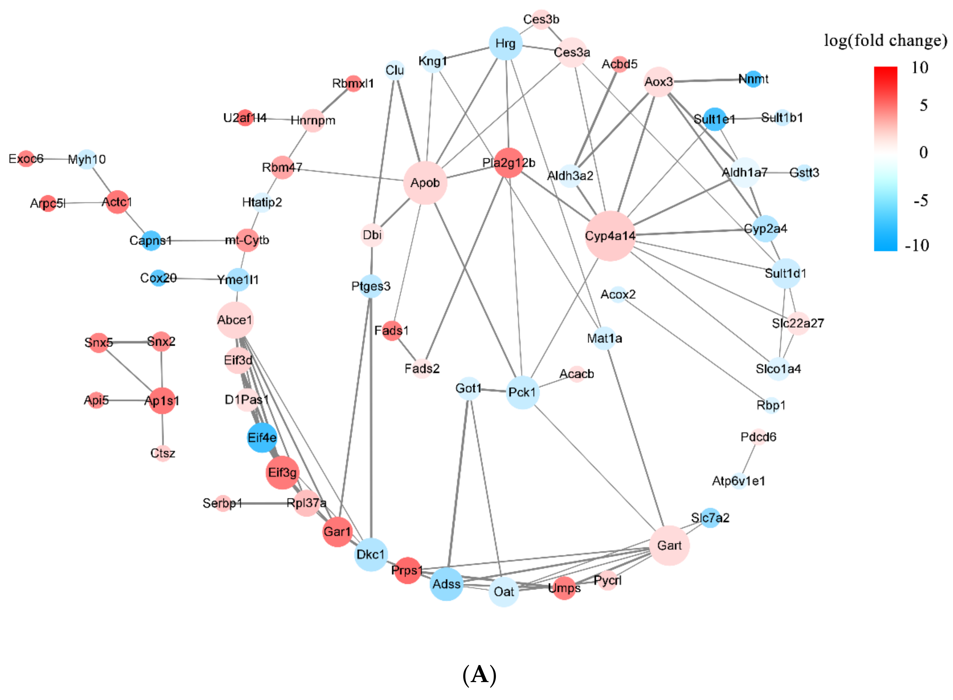 Nutrients 16 00025 g009a