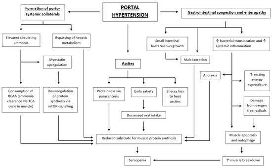 Nutrients 16 00035 g002
