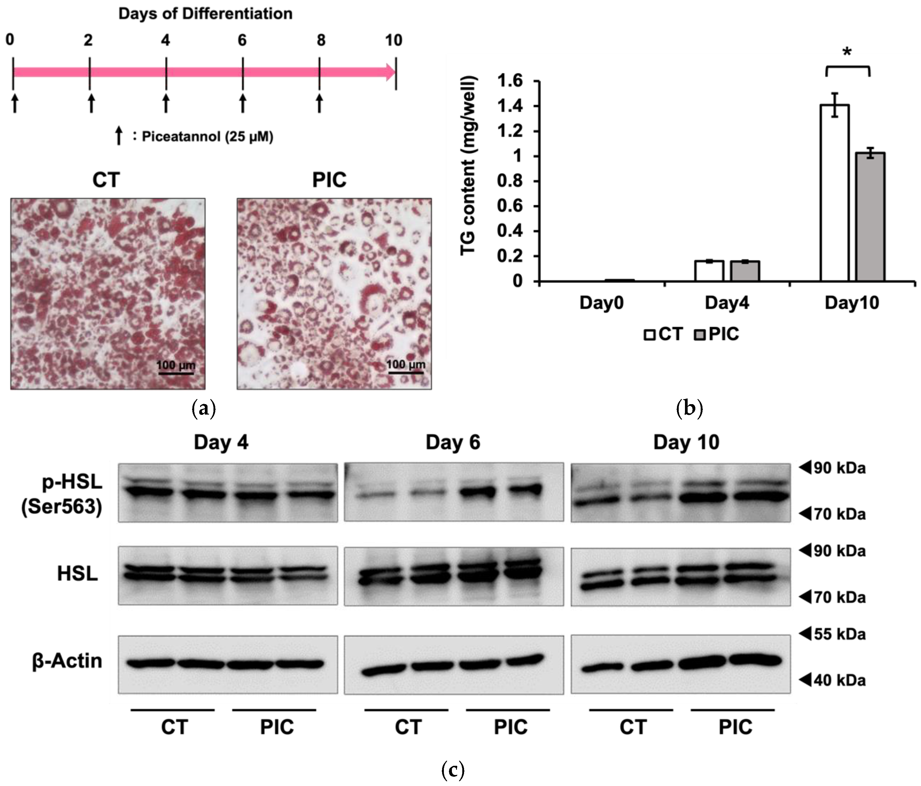Nutrients 16 00038 g001