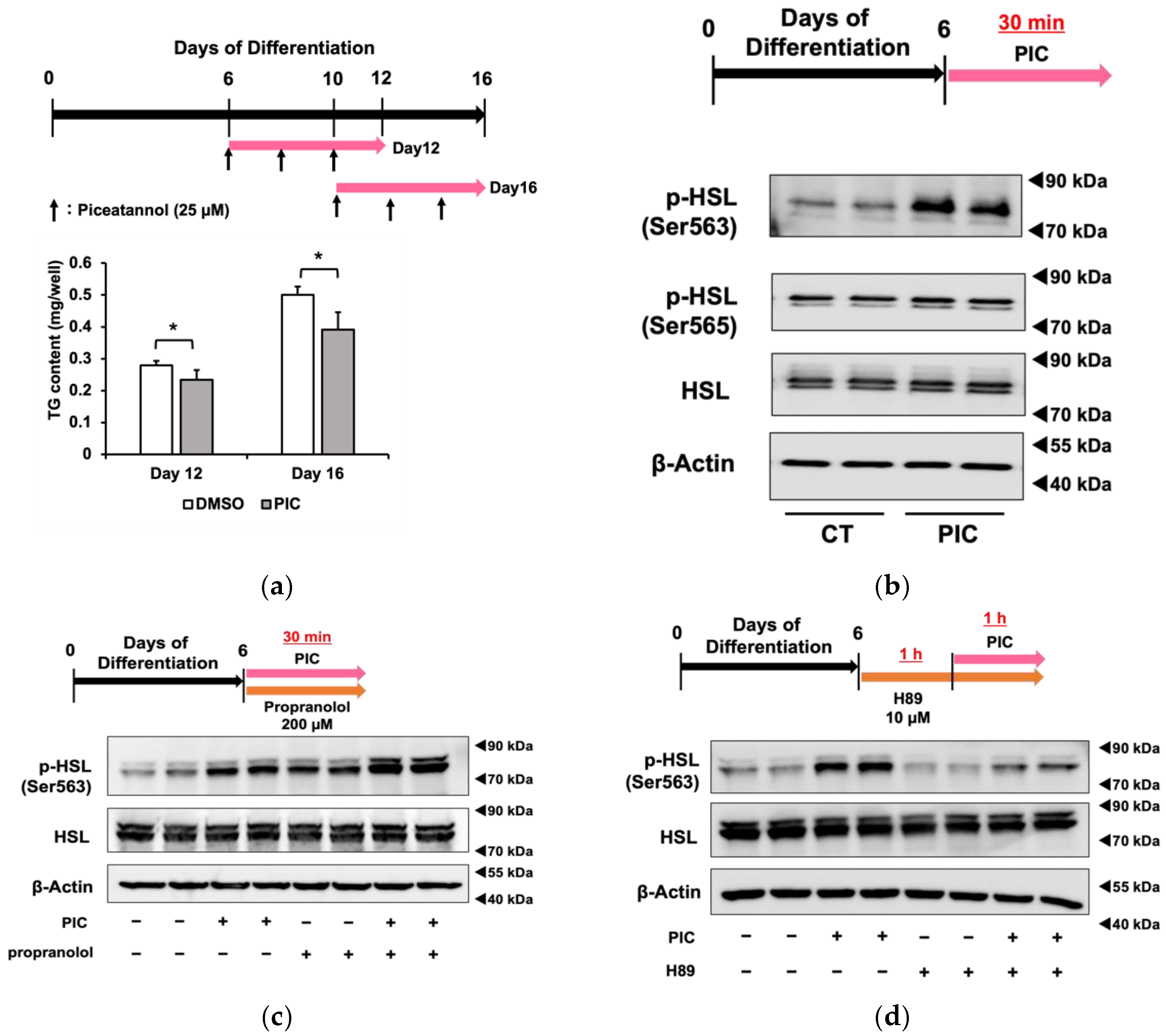 Nutrients 16 00038 g002