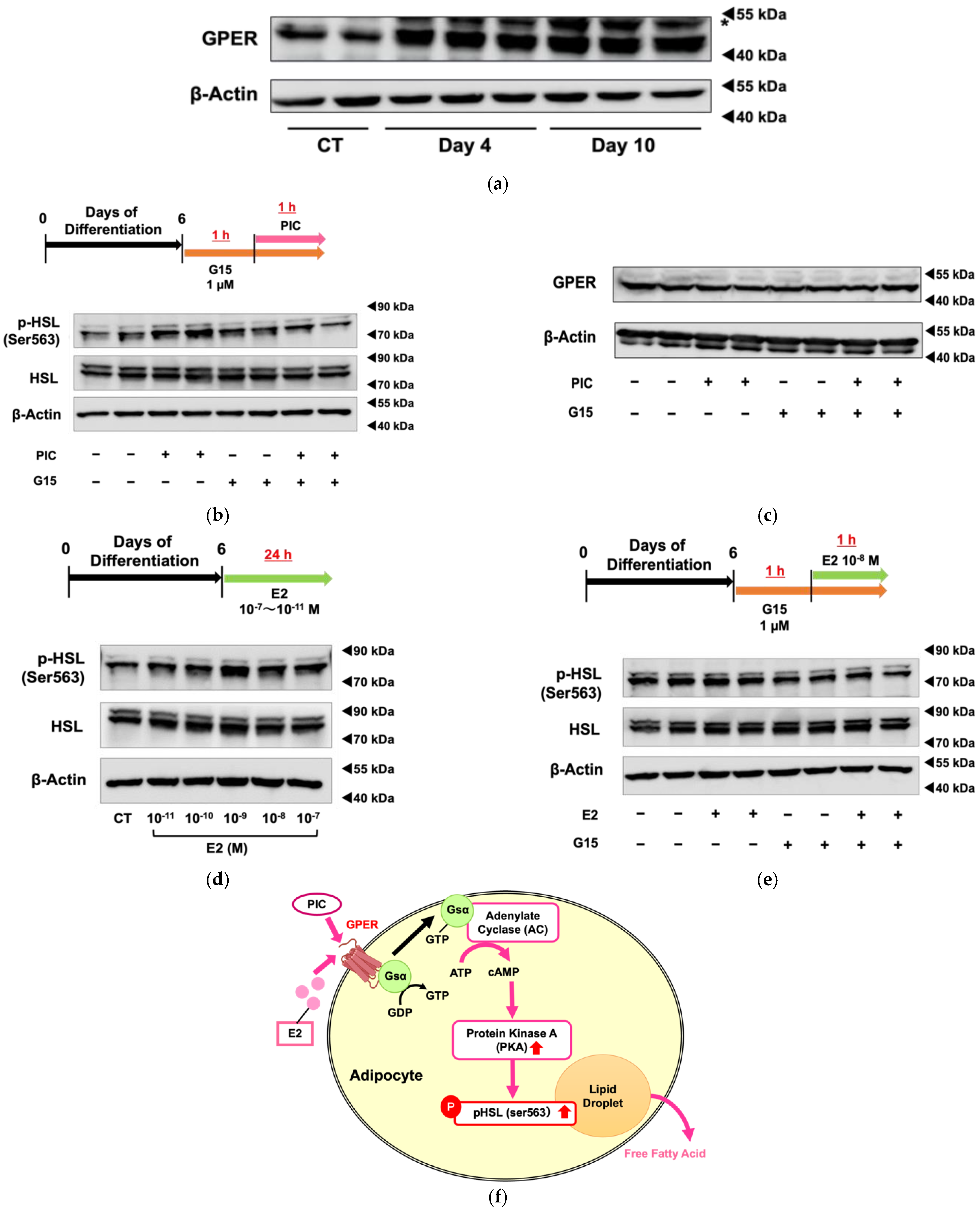 Nutrients 16 00038 g003