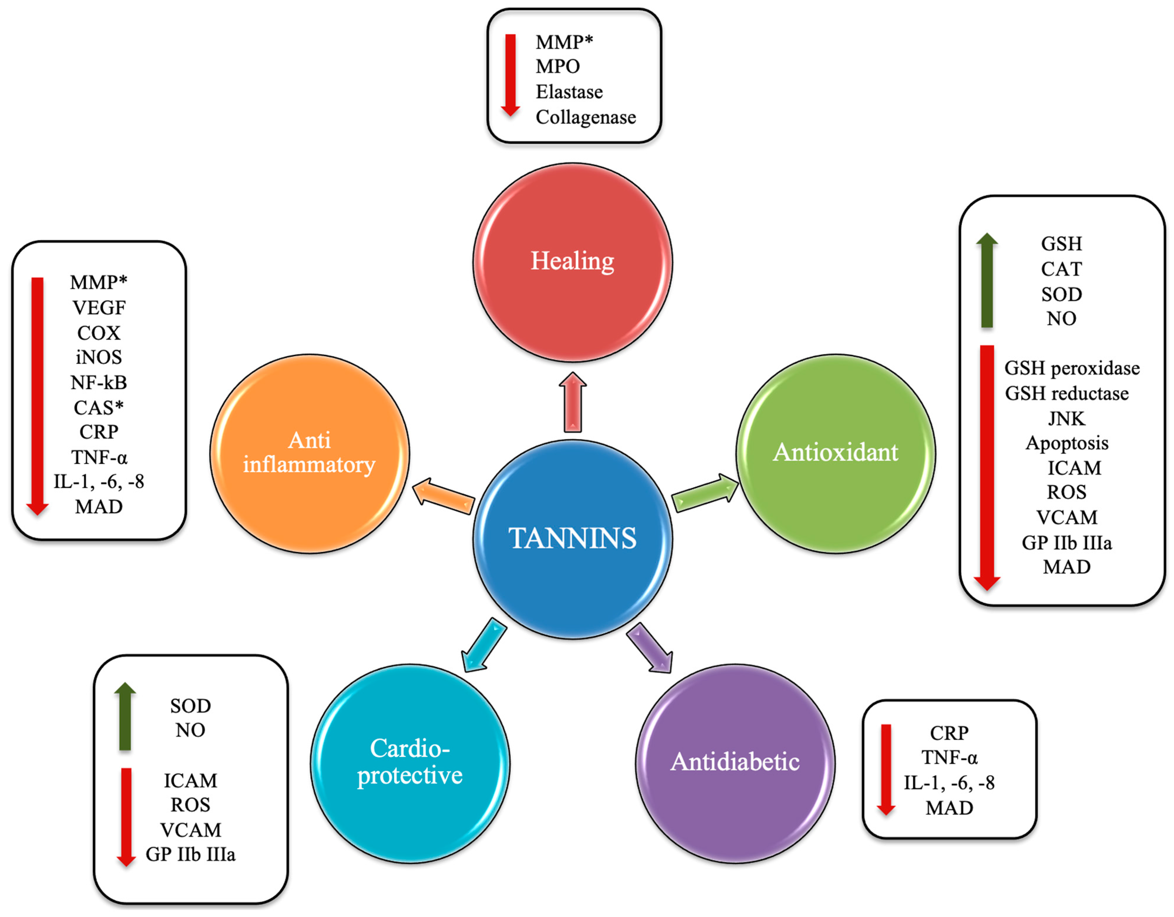 Nutrients 16 00045 g004 Nutrients 16 00045 g004