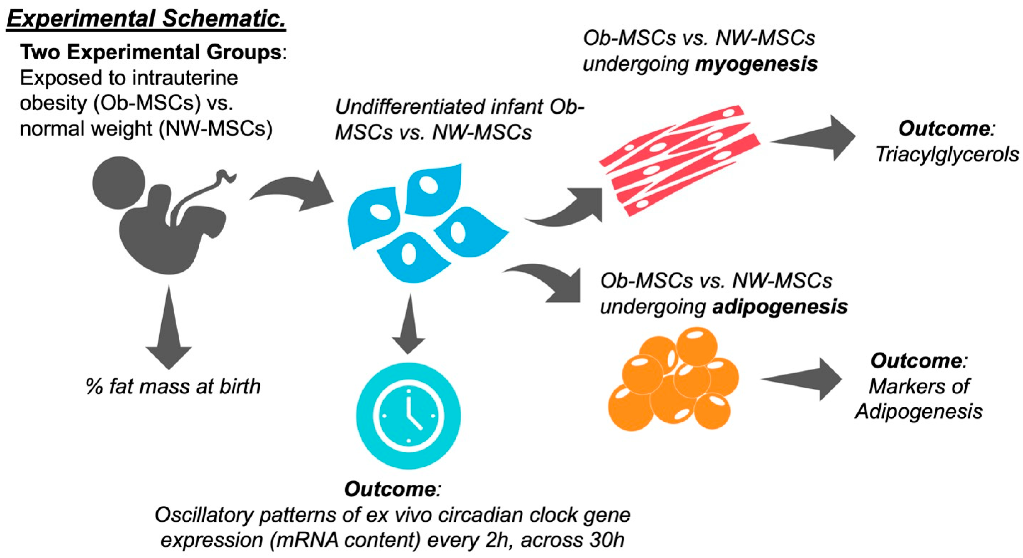 Nutrients 16 00052 g001