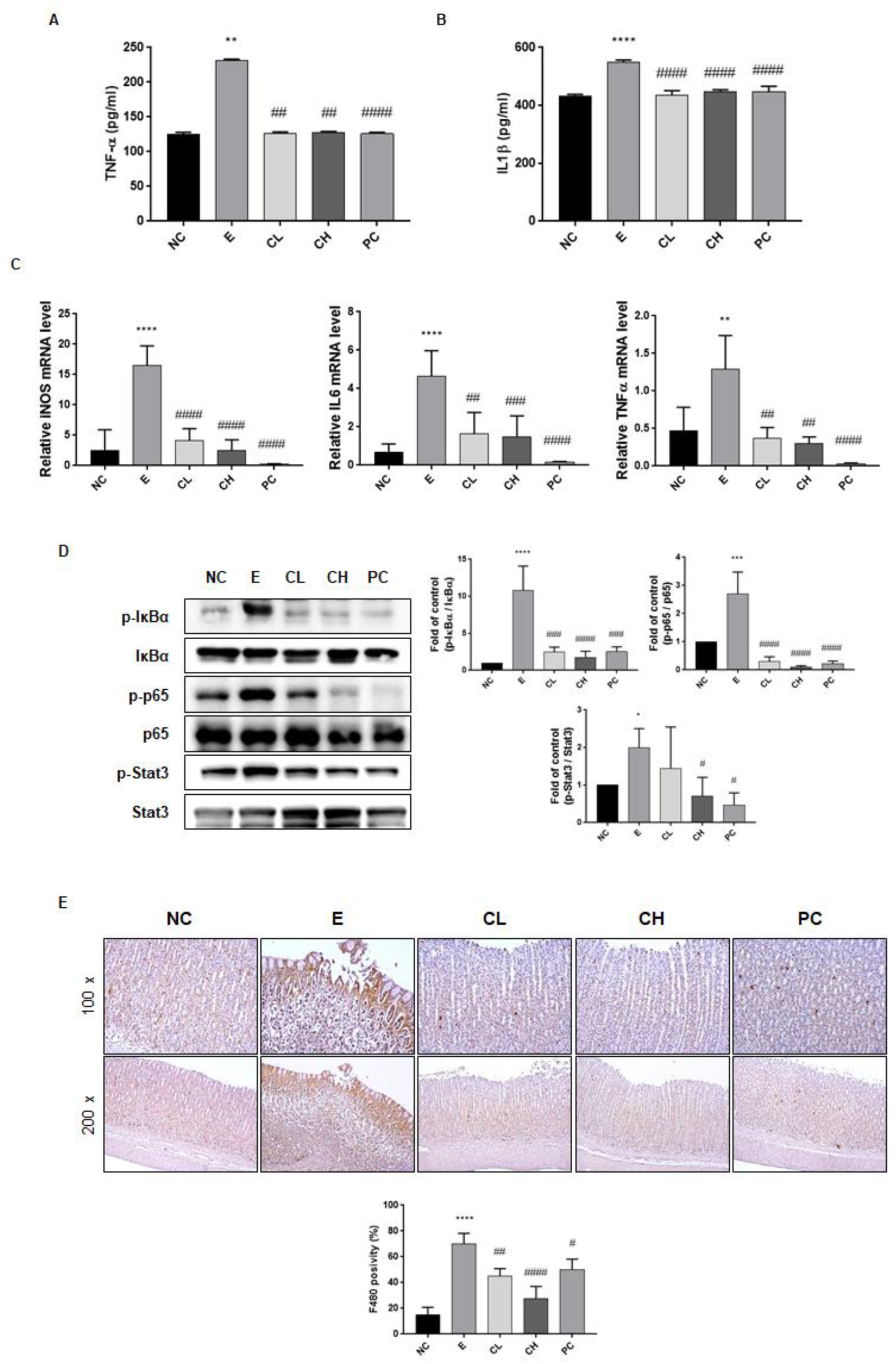 Nutrients 16 00055 g004