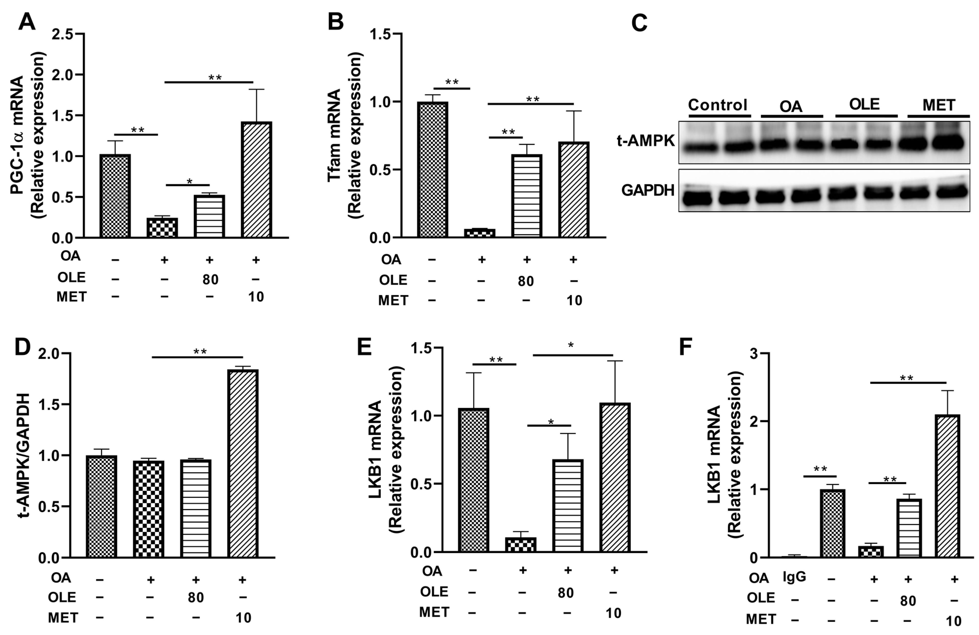 Nutrients 16 00058 g006