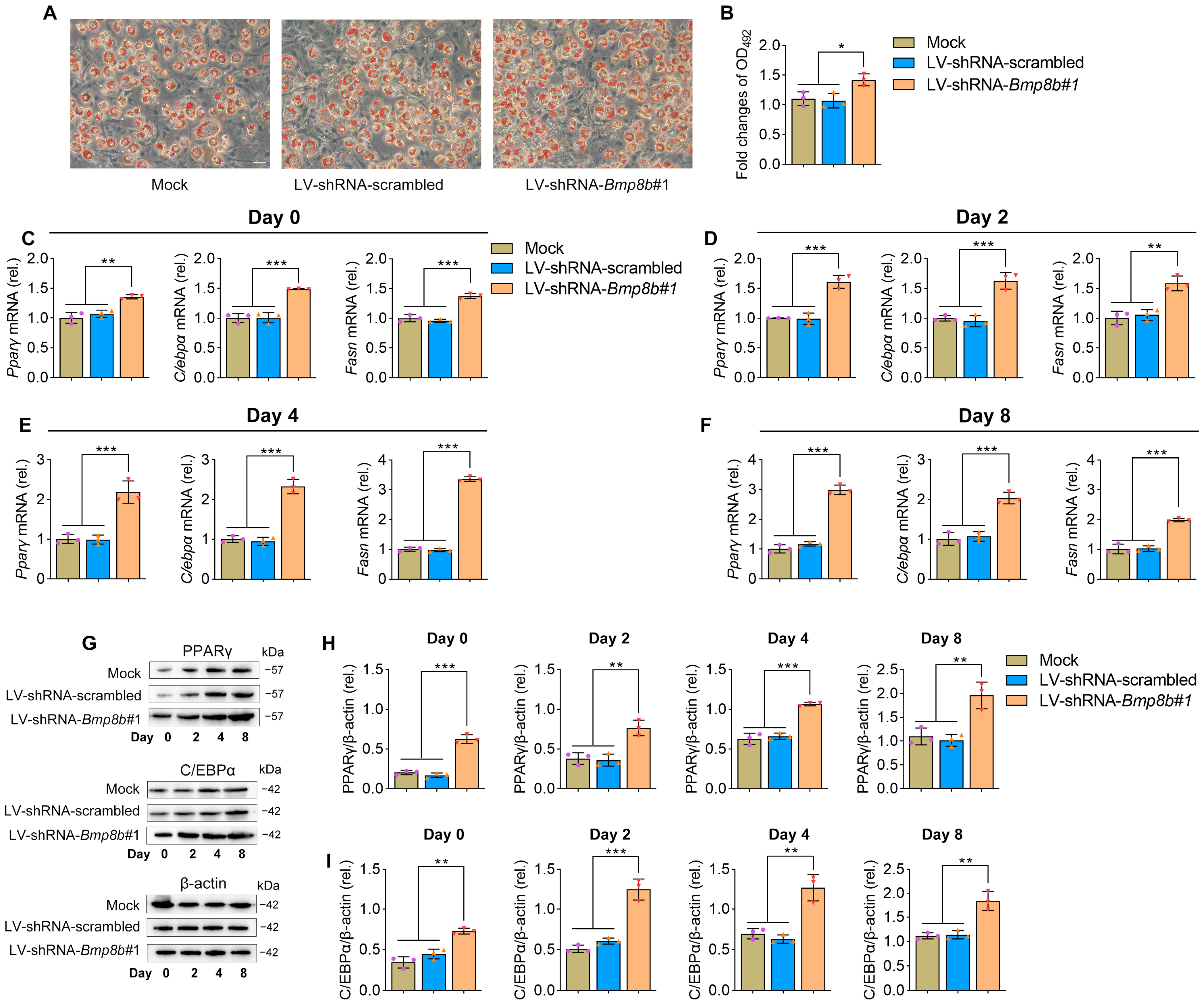 Nutrients 16 00064 g002 Nutrients 16 00064 g002