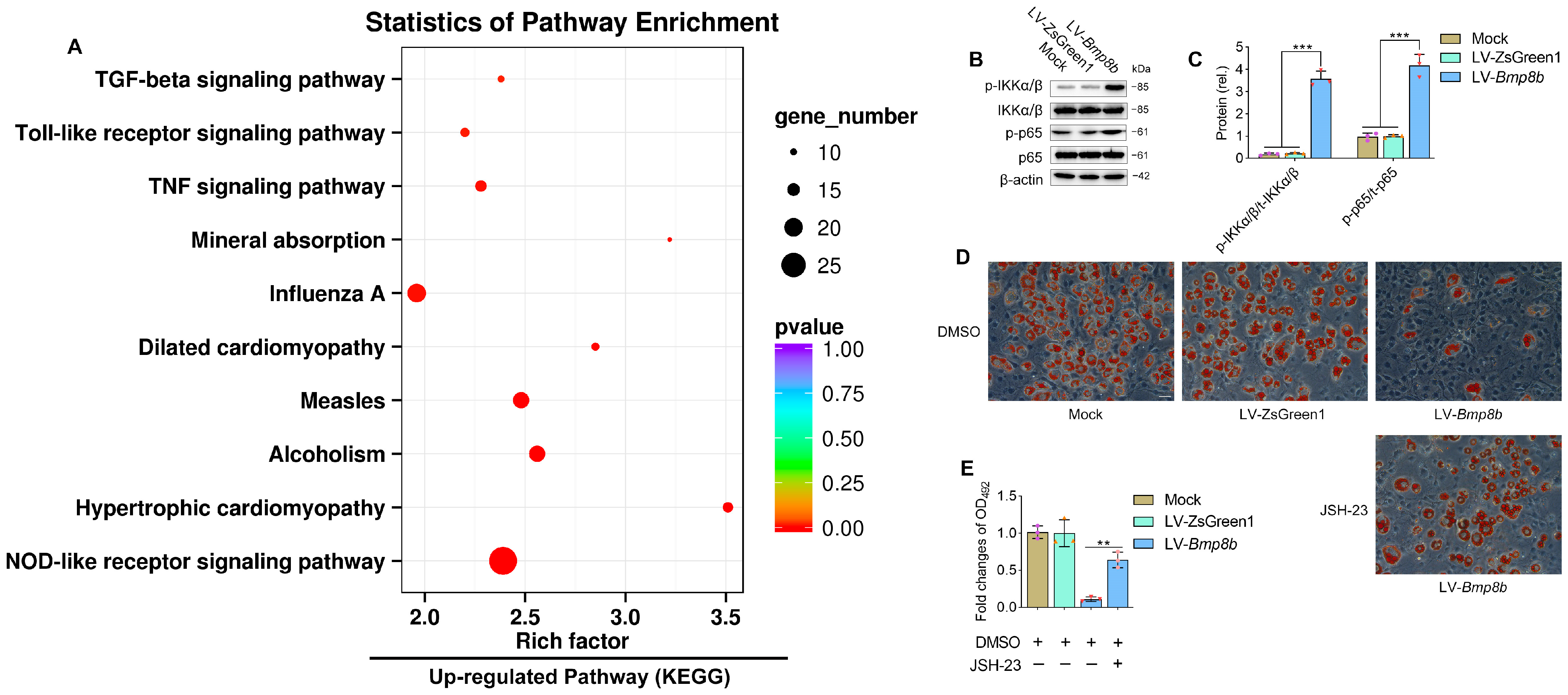 Nutrients 16 00064 g006 Nutrients 16 00064 g006