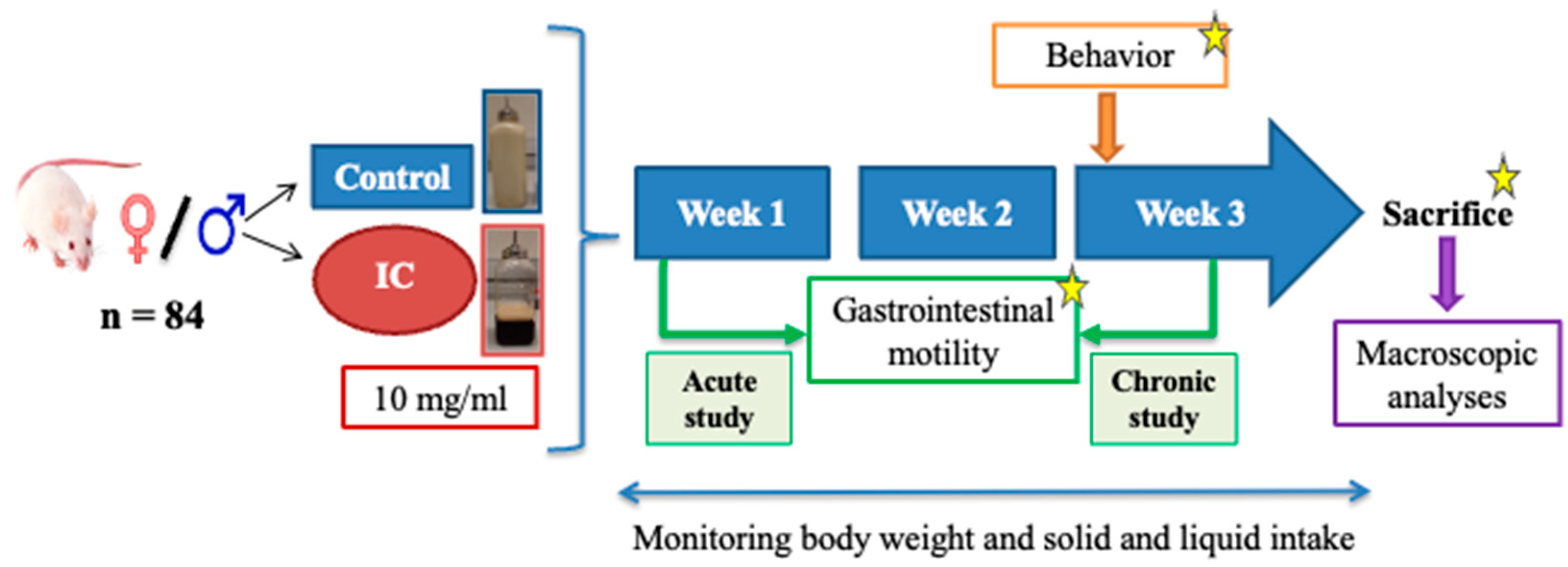 Nutrients 16 00065 g001