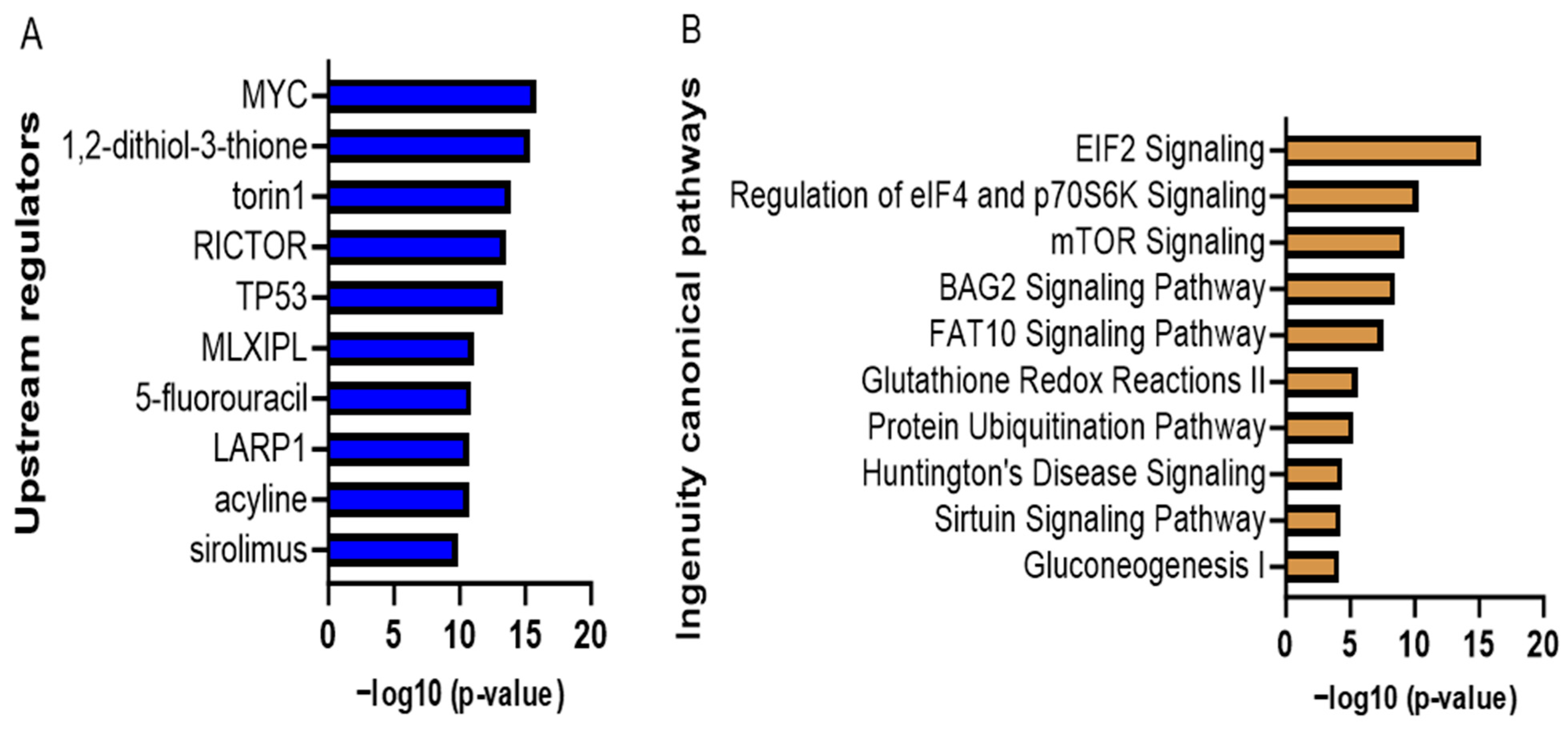 Nutrients 16 00070 g005 Nutrients 16 00070 g005