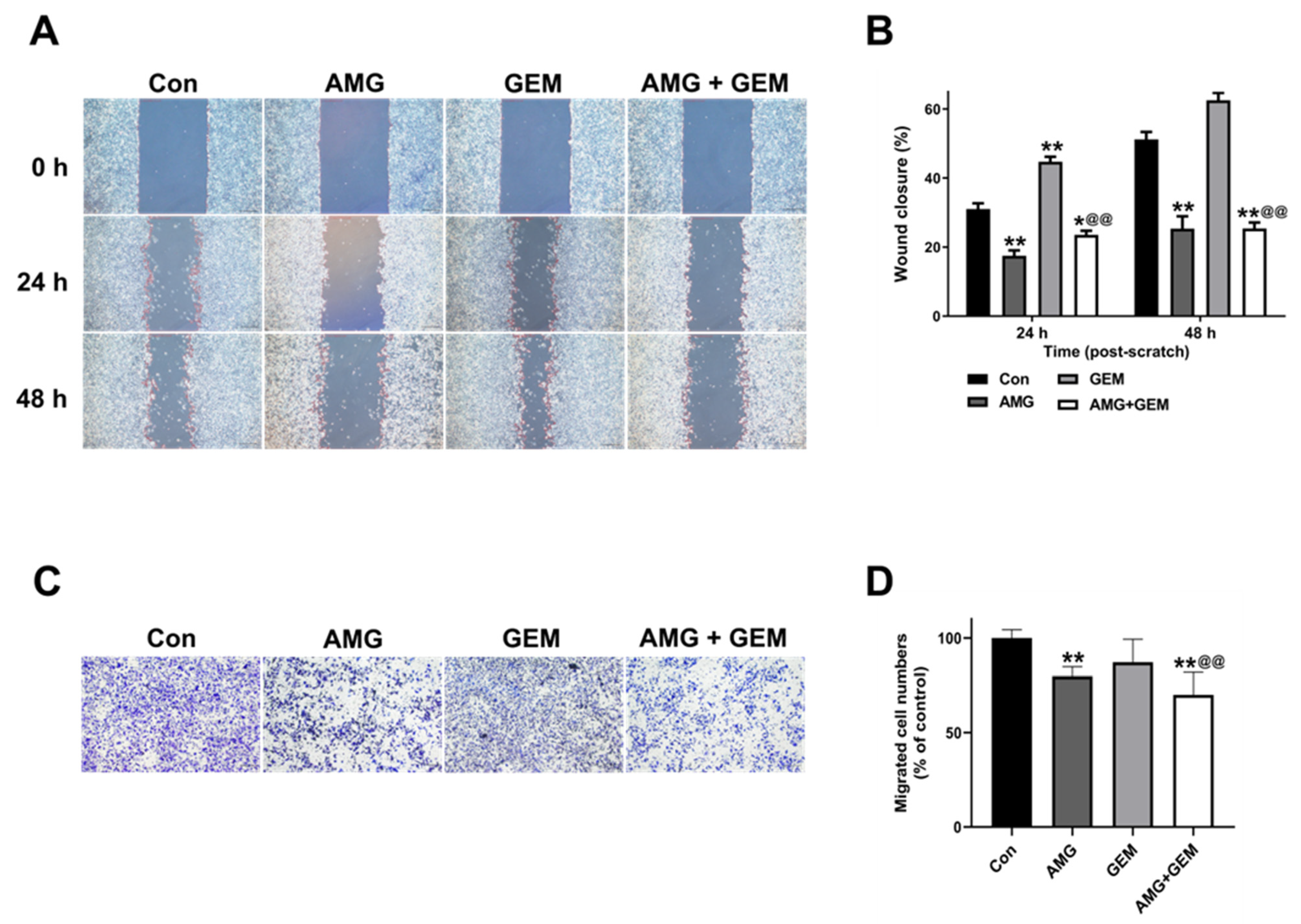 Nutrients 16 00073 g003