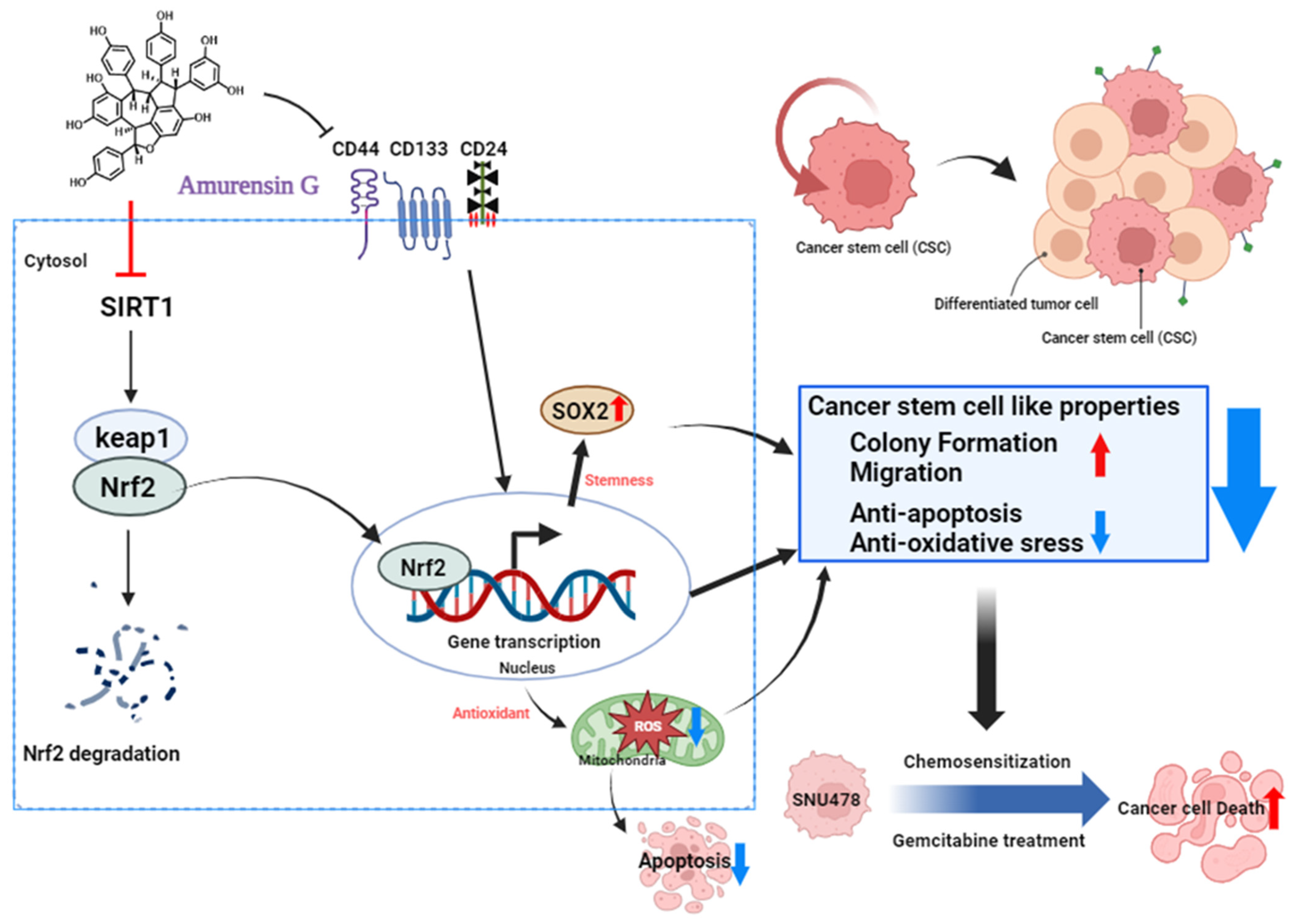 Nutrients 16 00073 g006