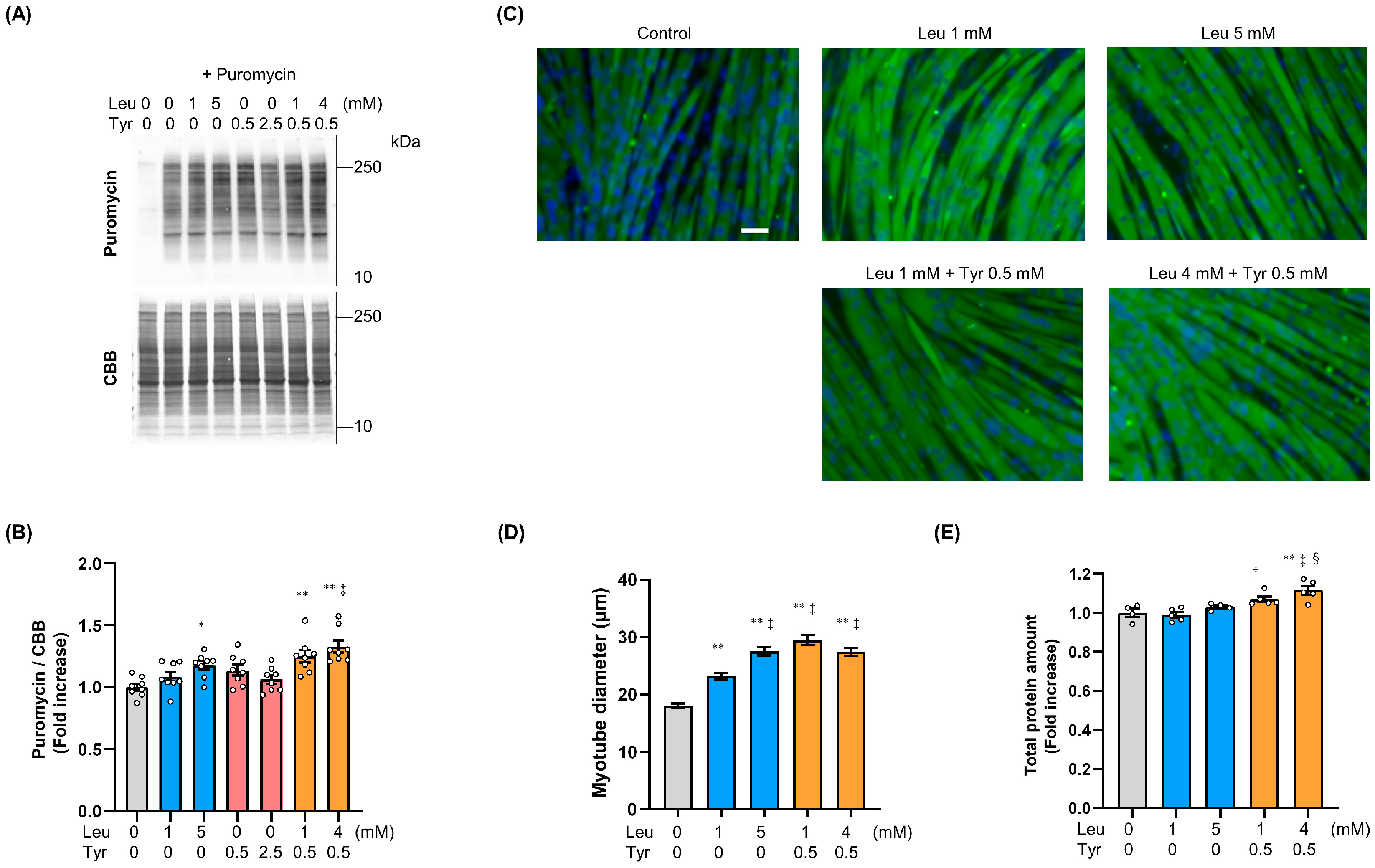 Nutrients 16 00084 g002