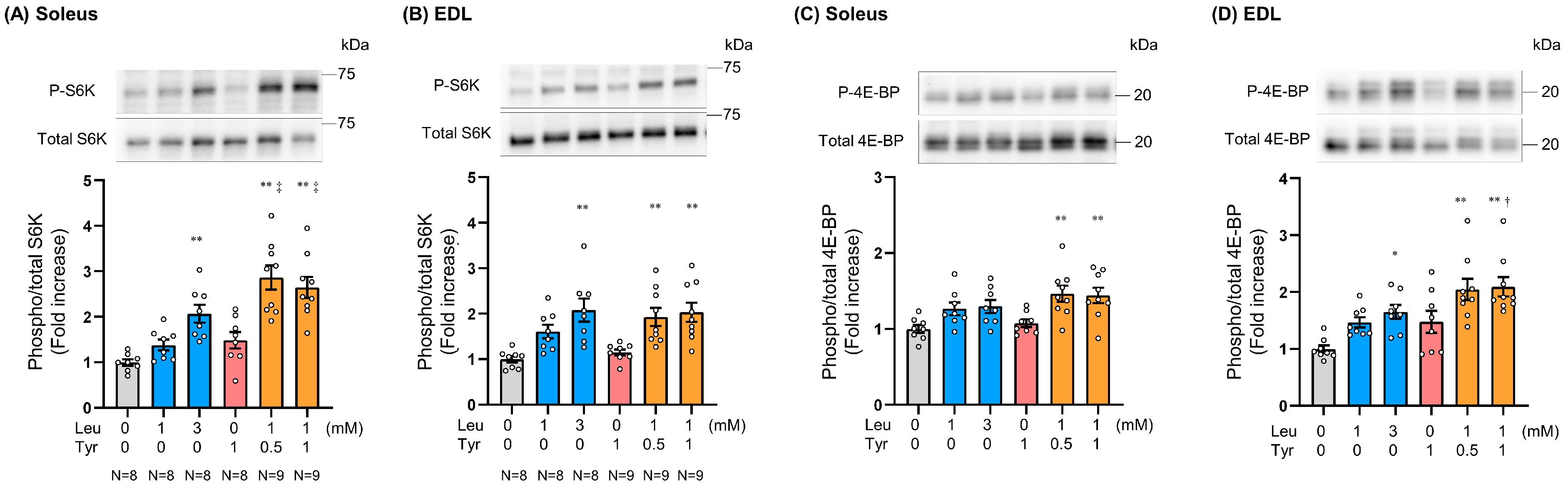 Nutrients 16 00084 g003
