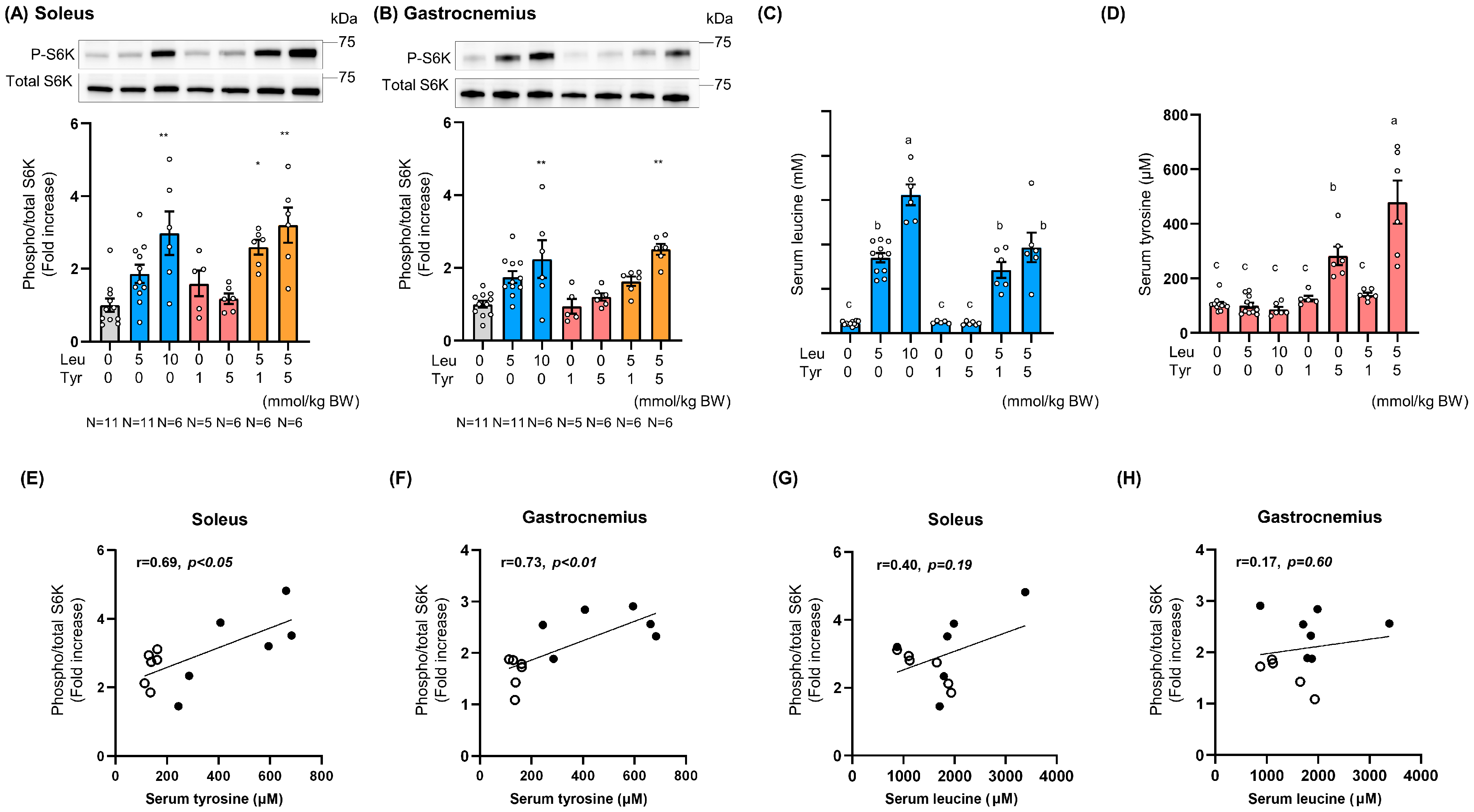 Nutrients 16 00084 g004