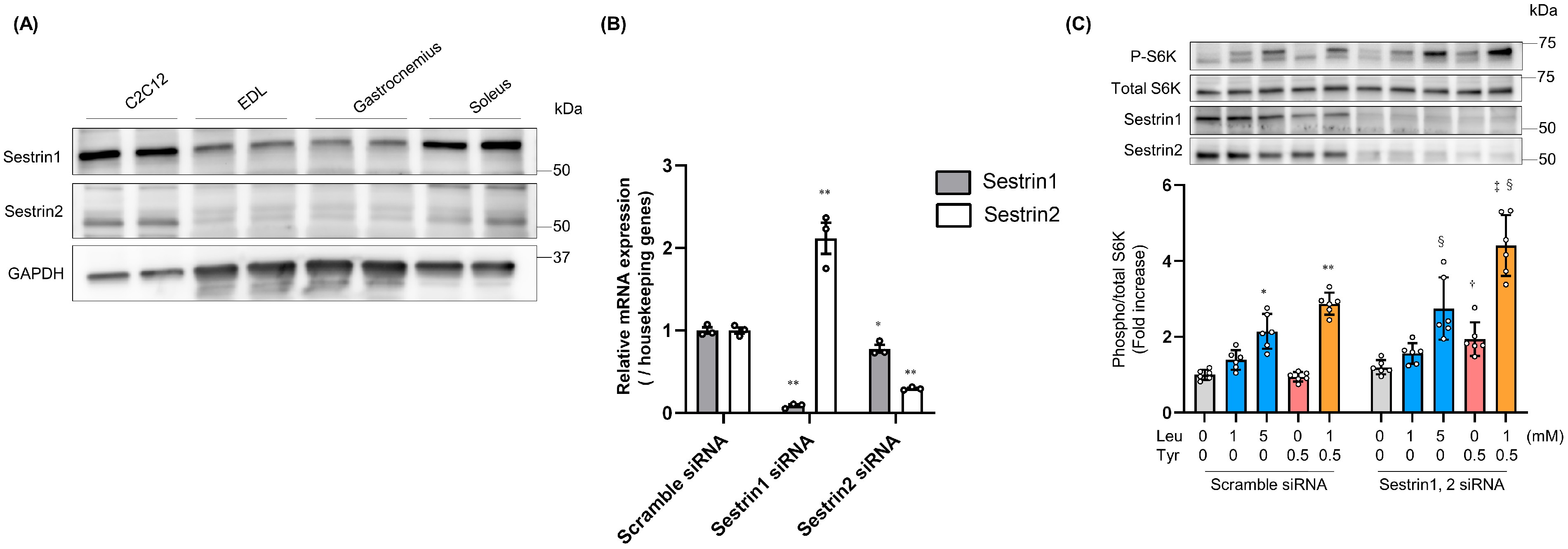 Nutrients 16 00084 g005