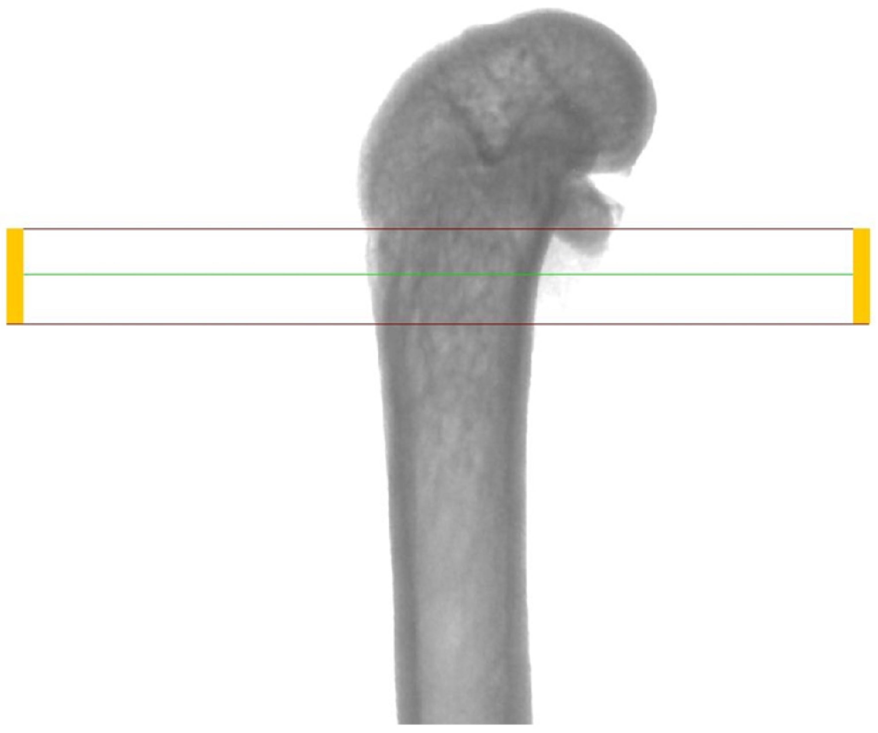 Nutrients 16 00091 g001