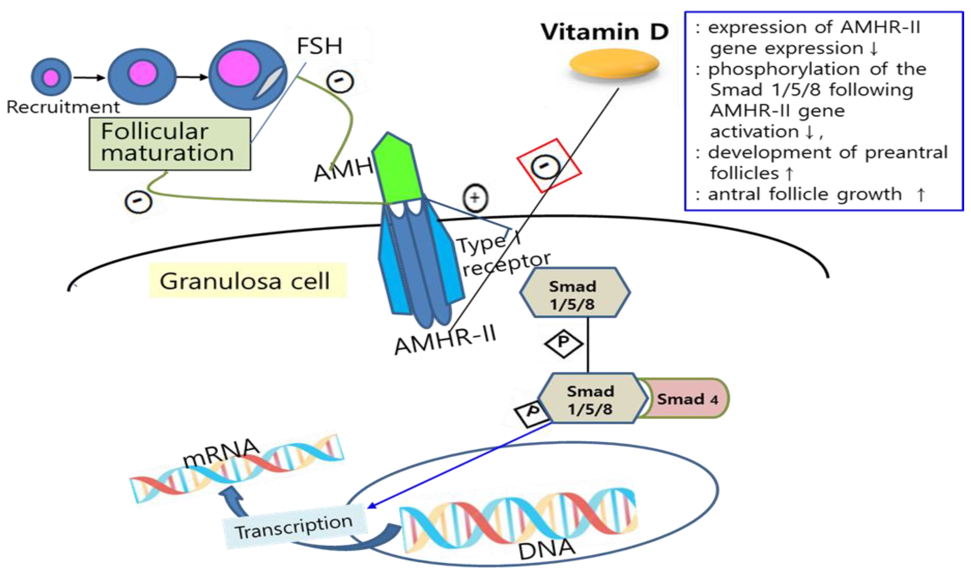 Nutrients 16 00096 g001