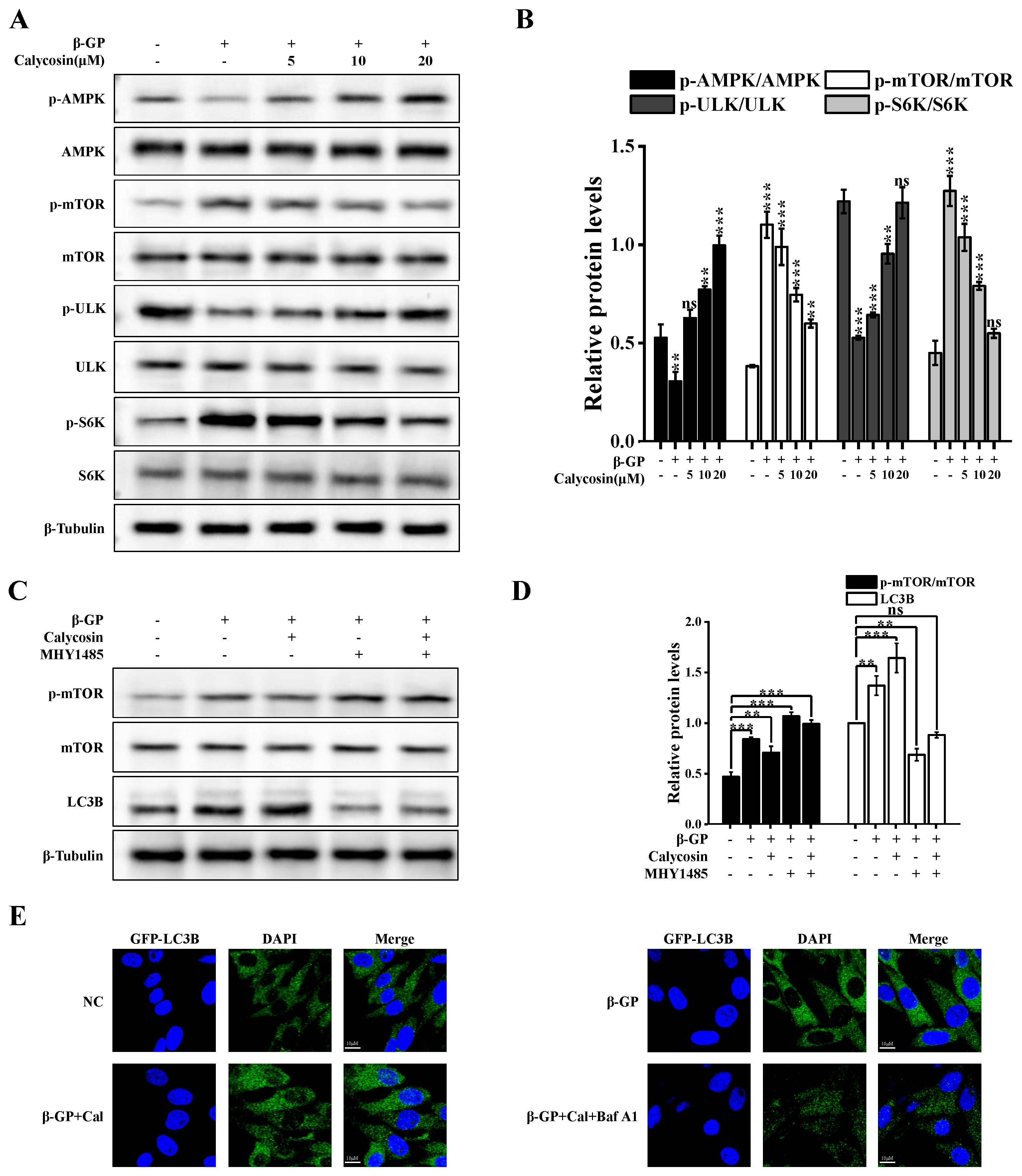 Nutrients 16 00099 g004