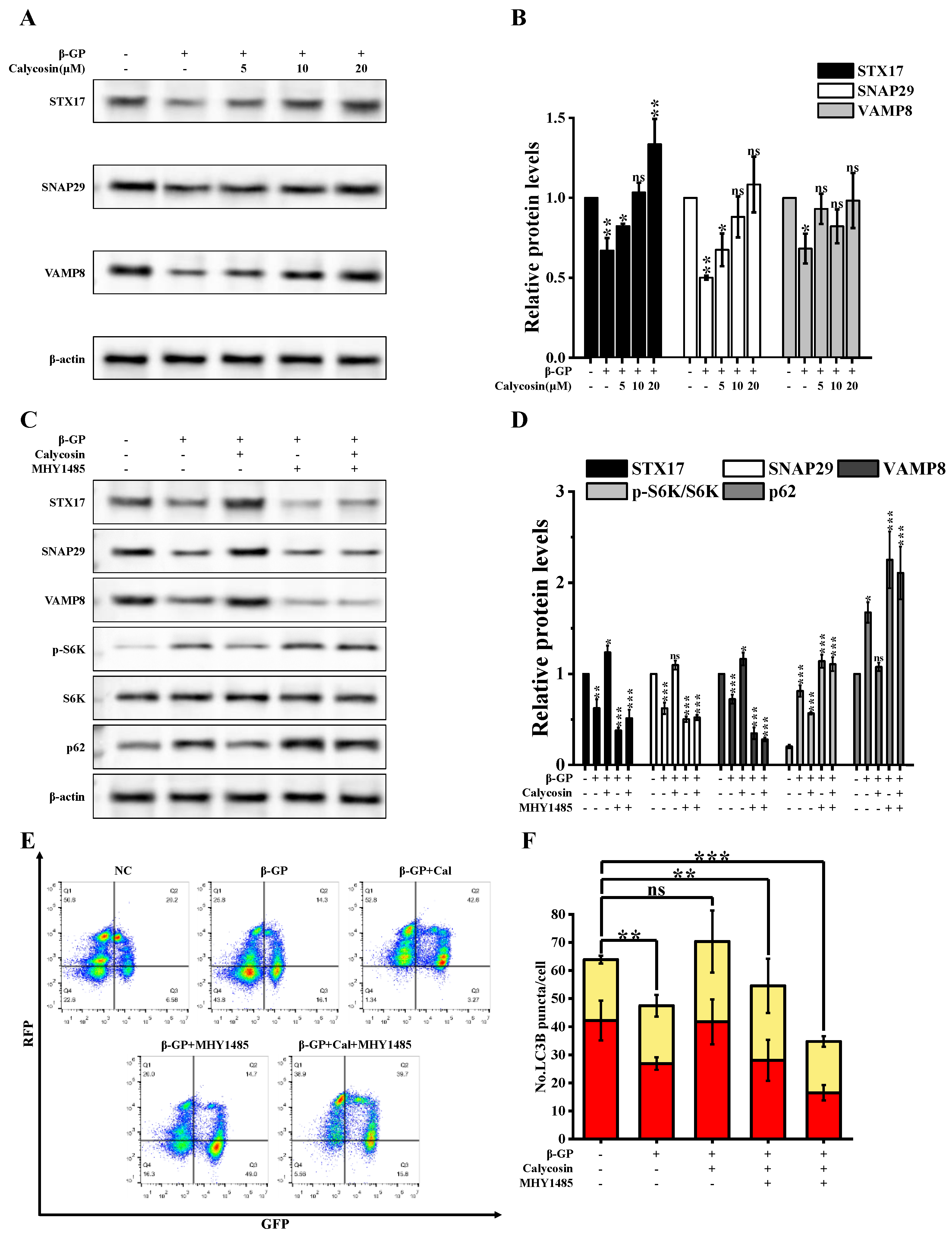 Nutrients 16 00099 g005
