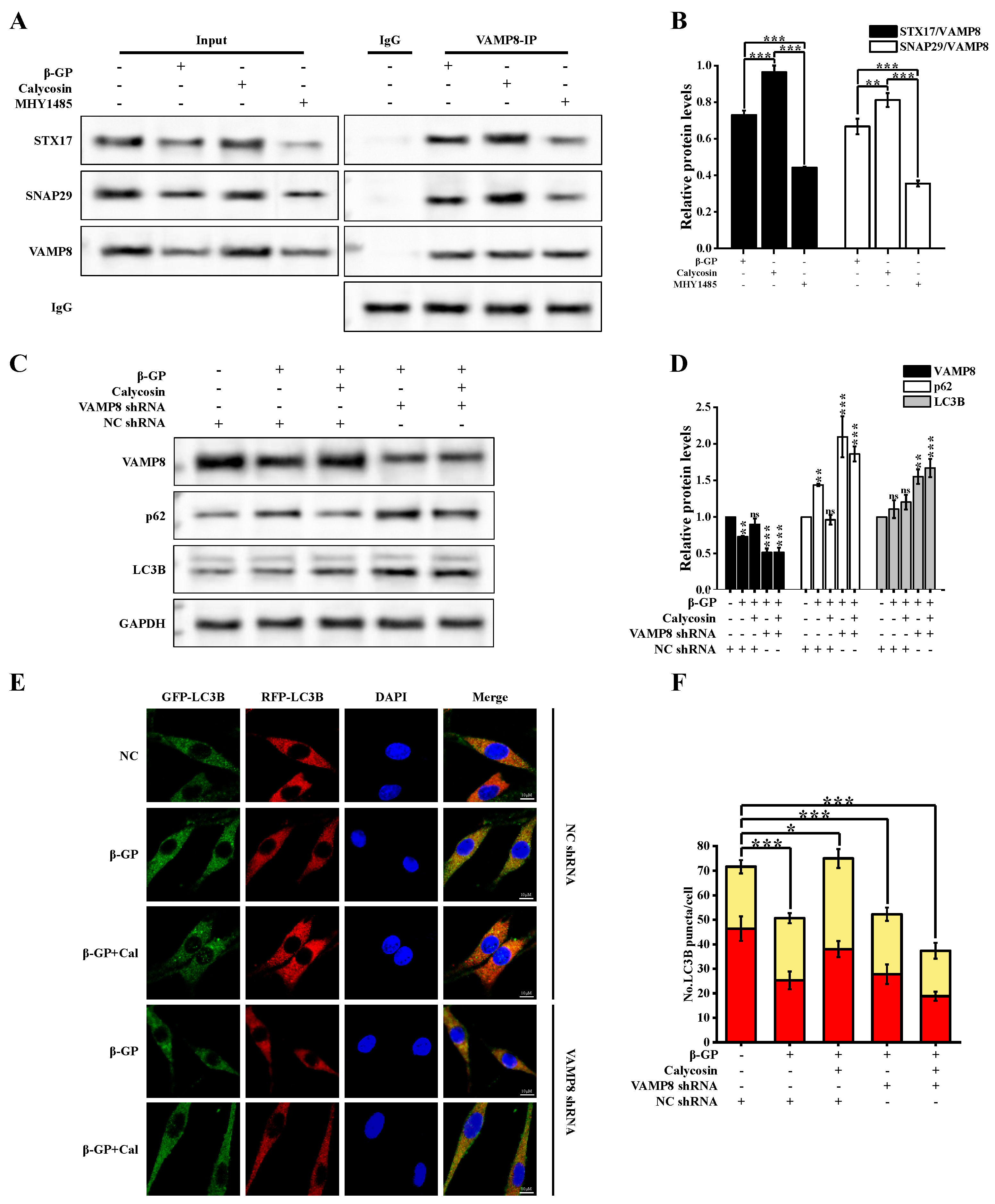 Nutrients 16 00099 g006