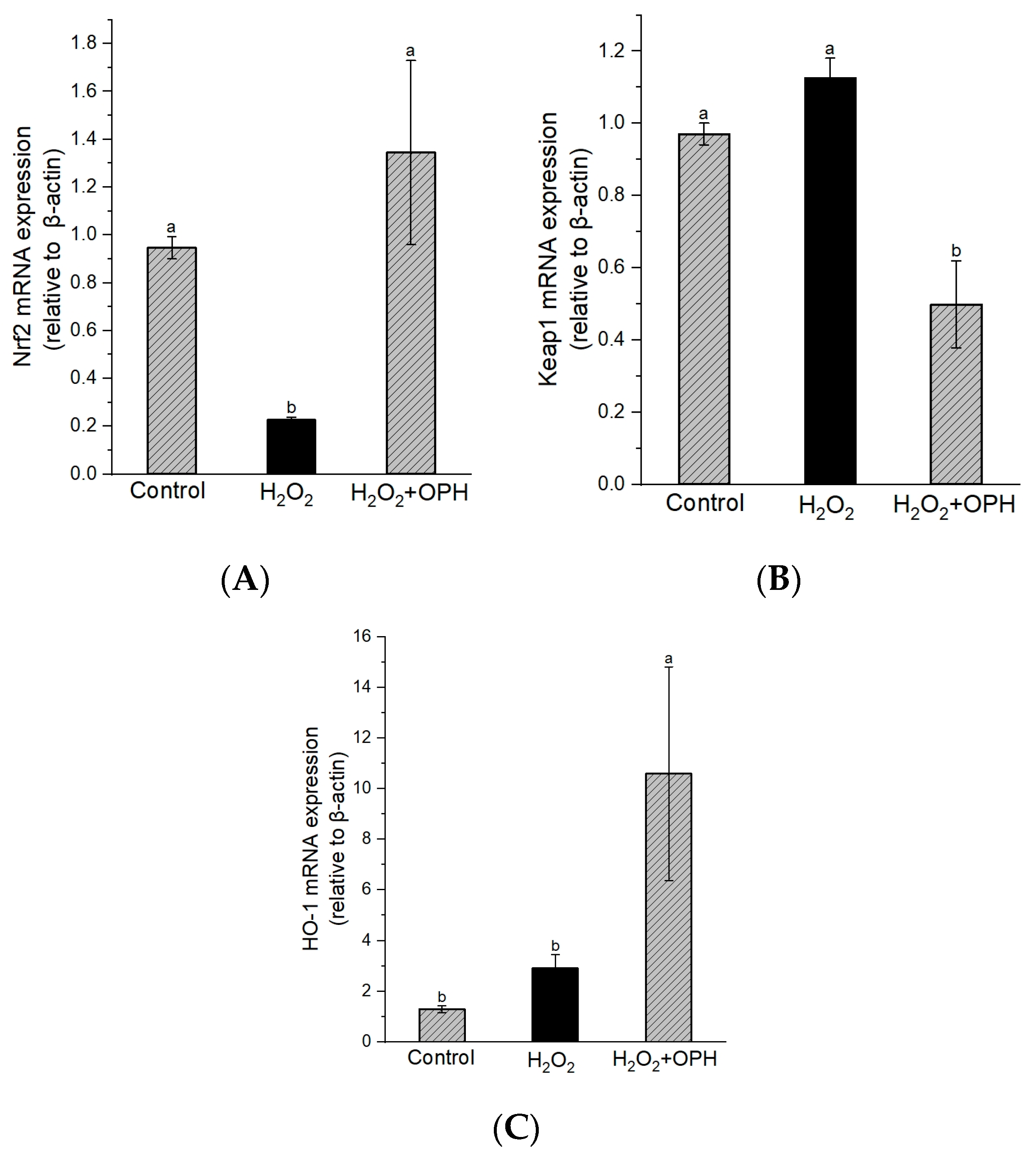 Nutrients 16 00117 g004