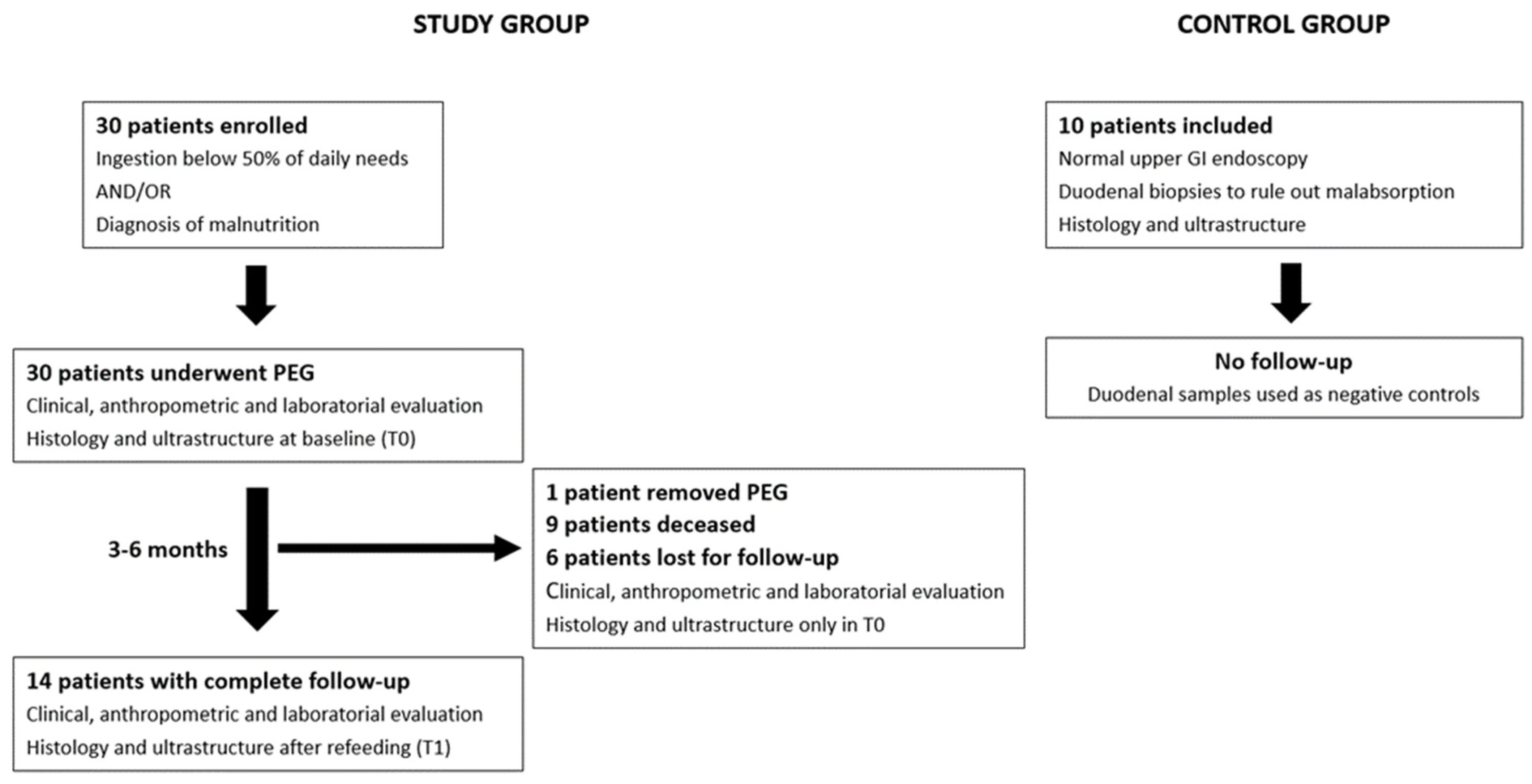Nutrients 16 00128 g001