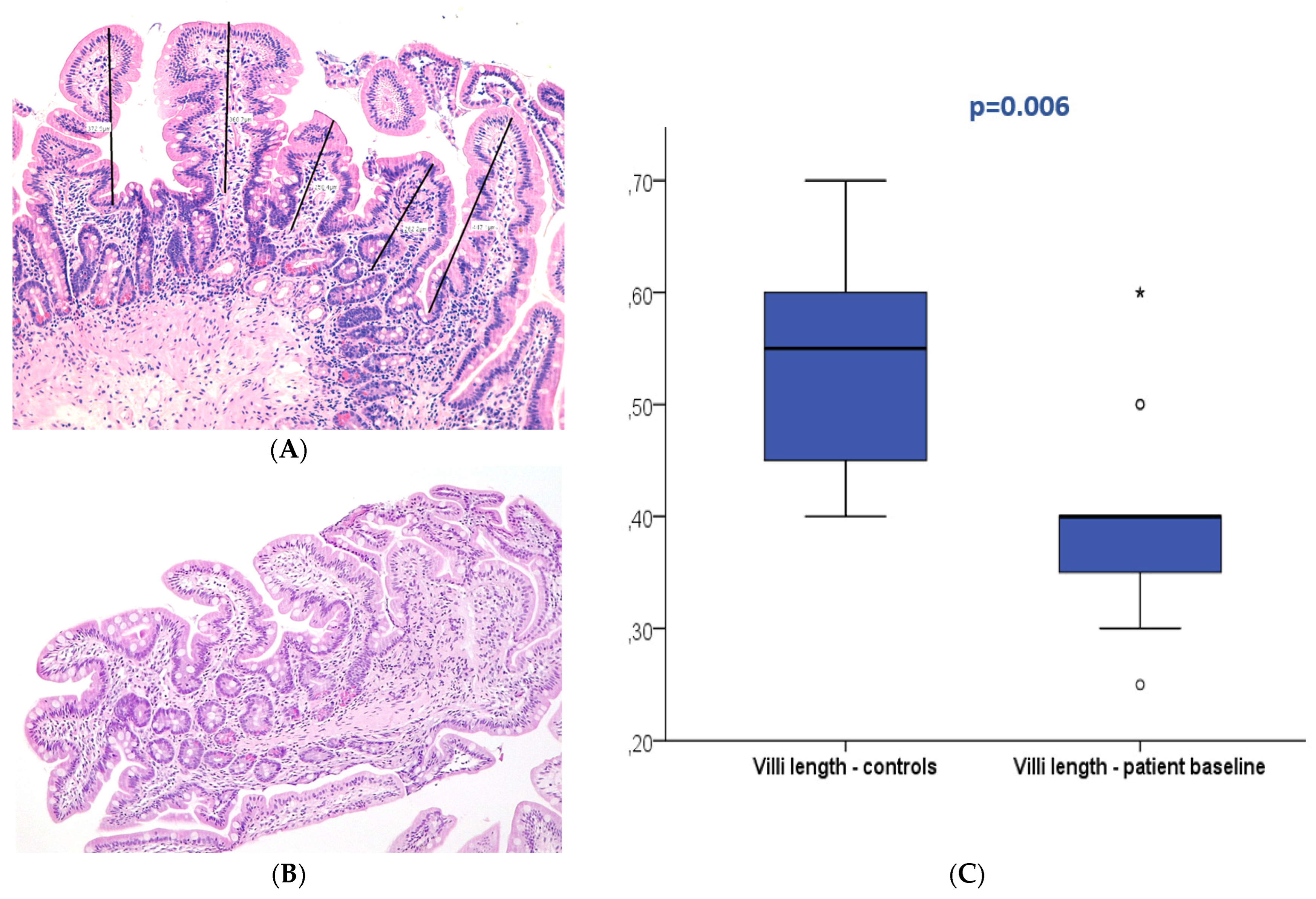 Nutrients 16 00128 g002