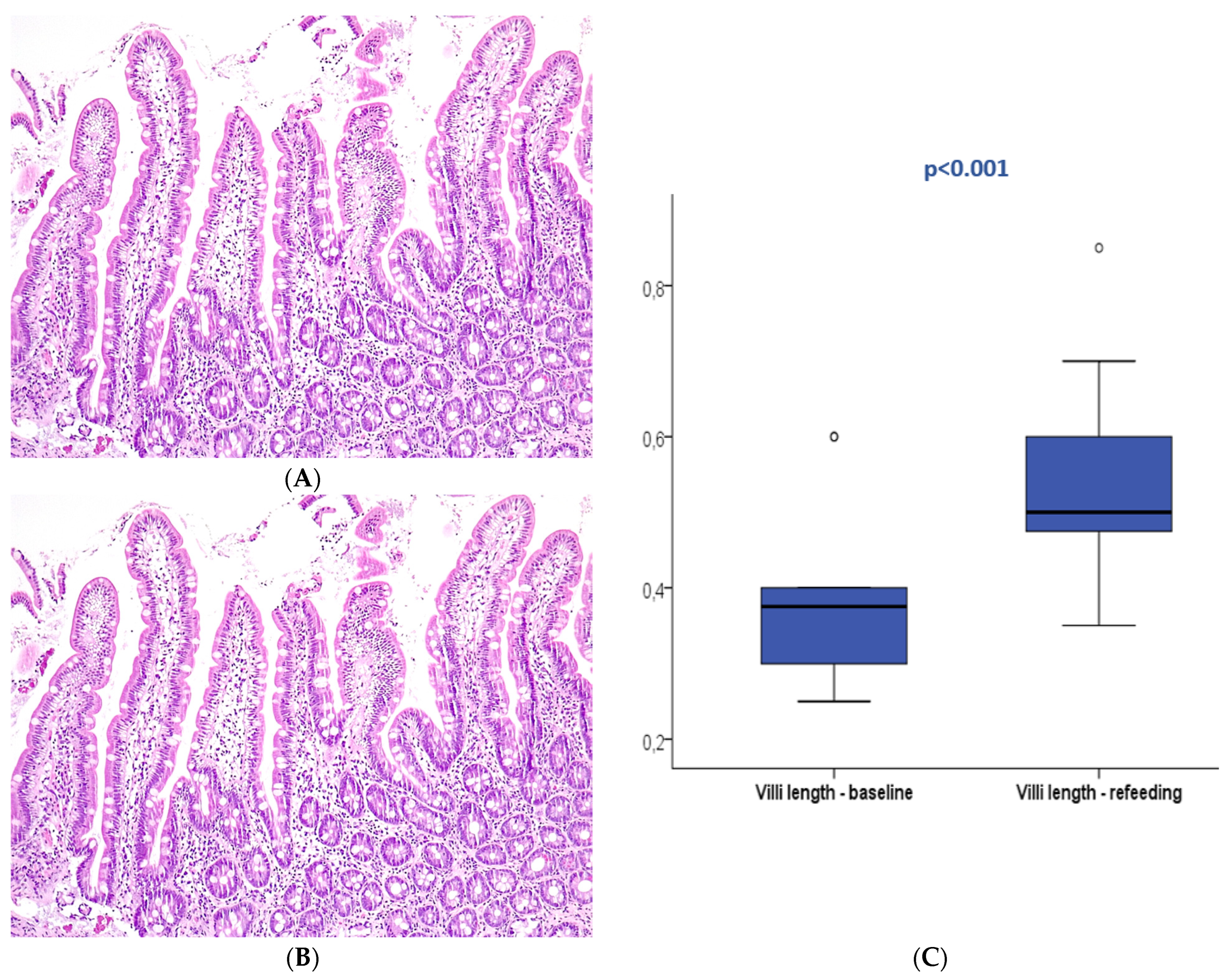 Nutrients 16 00128 g003