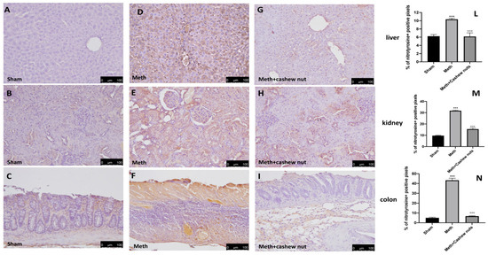 Nutrients 16 00133 g005