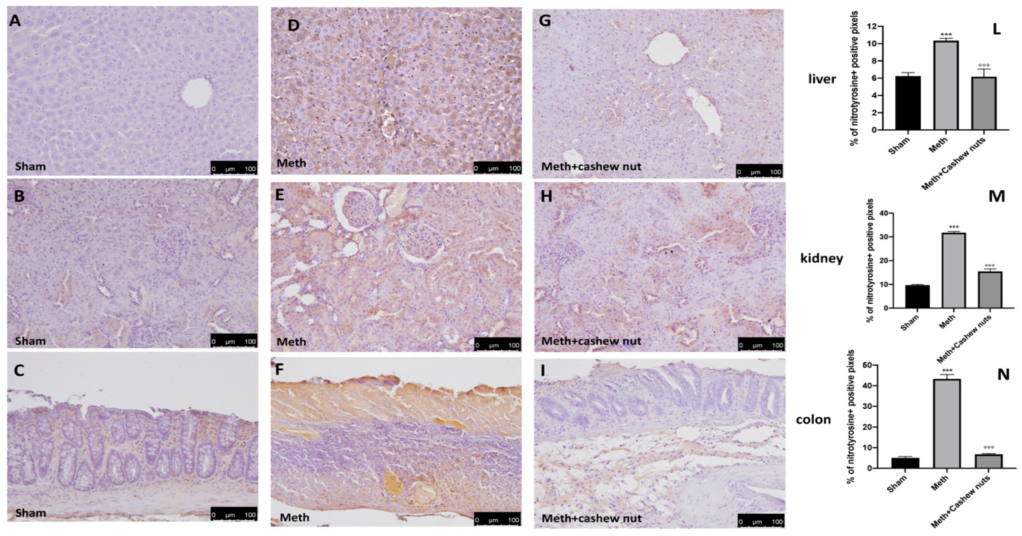 Nutrients 16 00133 g005