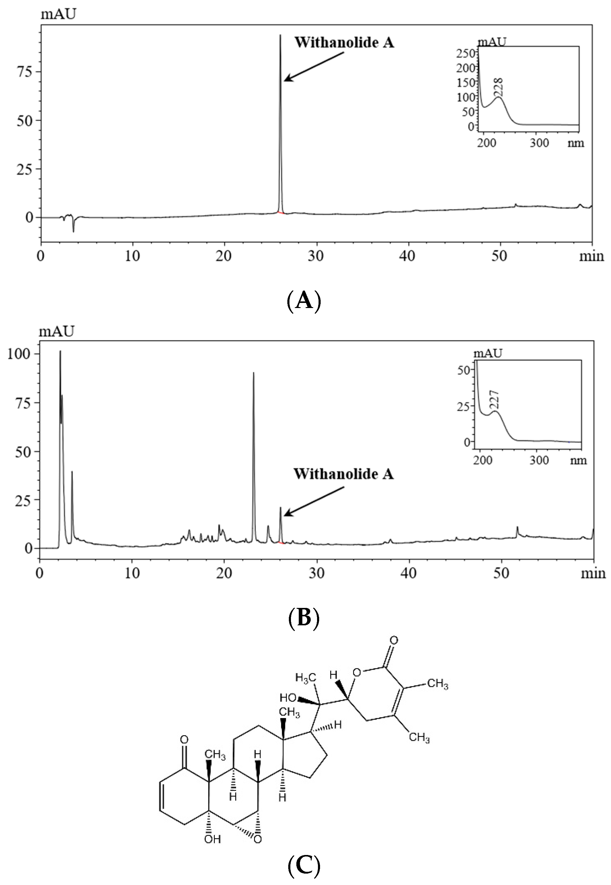Nutrients 16 00157 g001