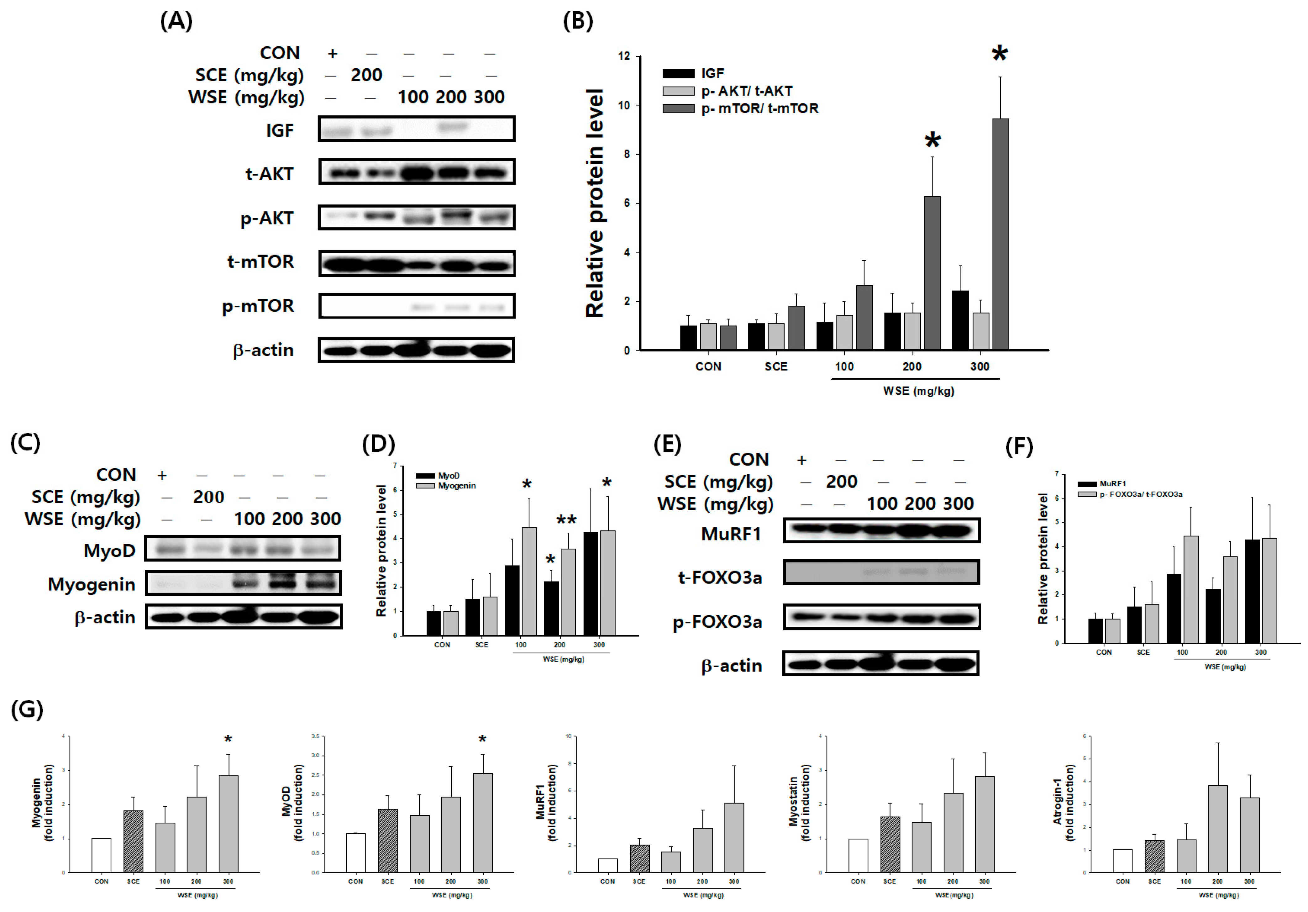 Nutrients 16 00157 g005
