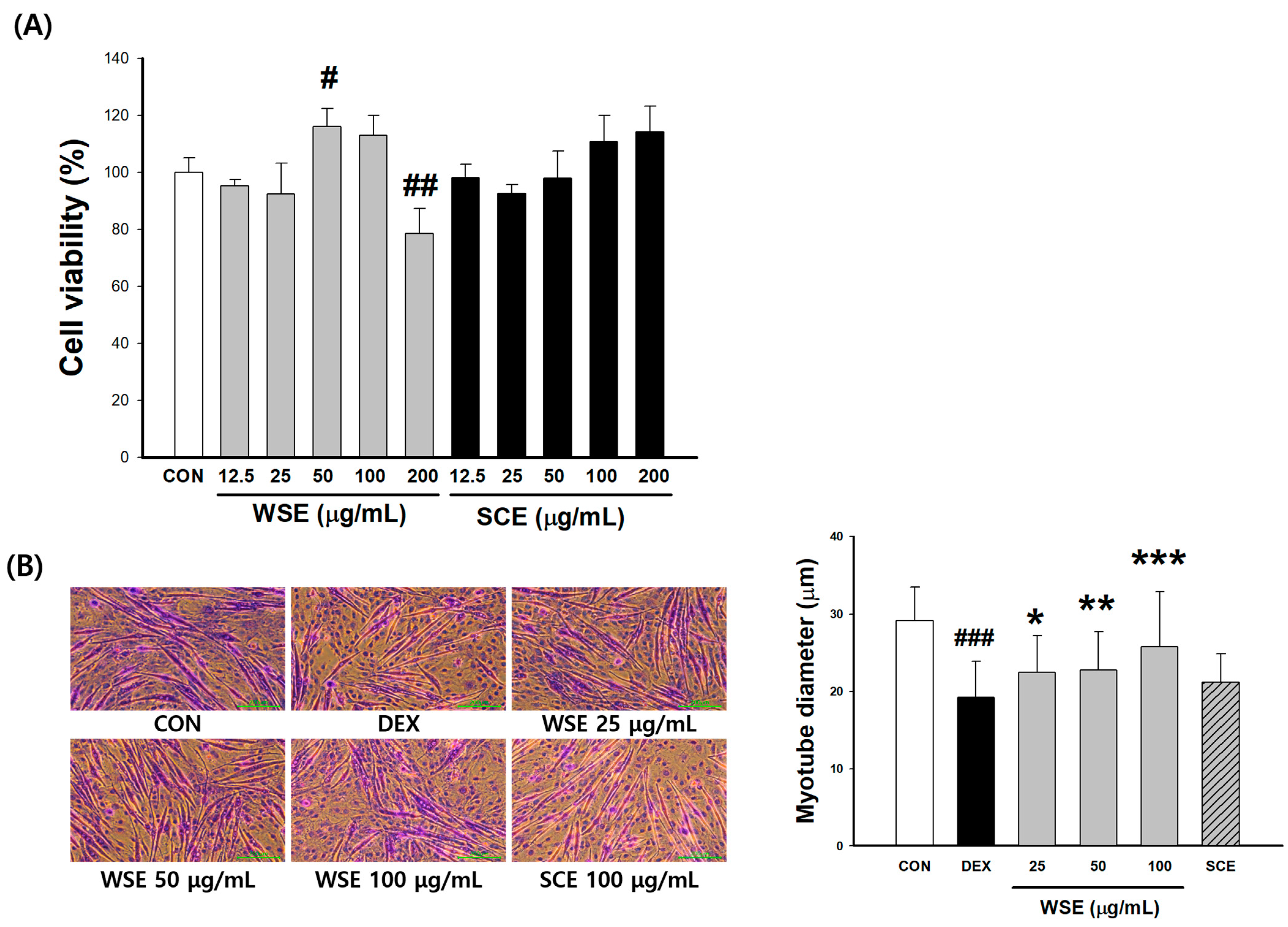 Nutrients 16 00157 g007