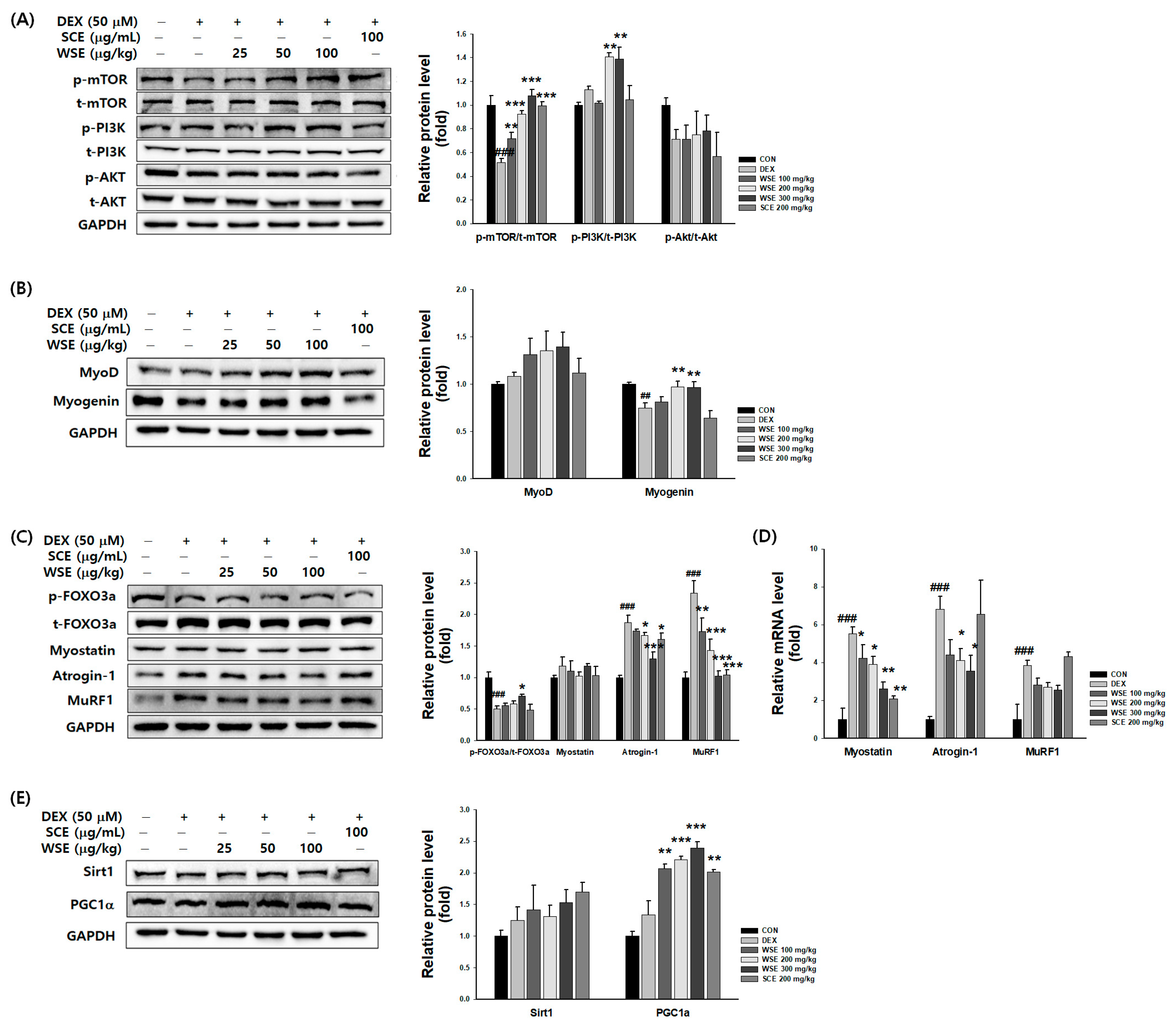 Nutrients 16 00157 g008