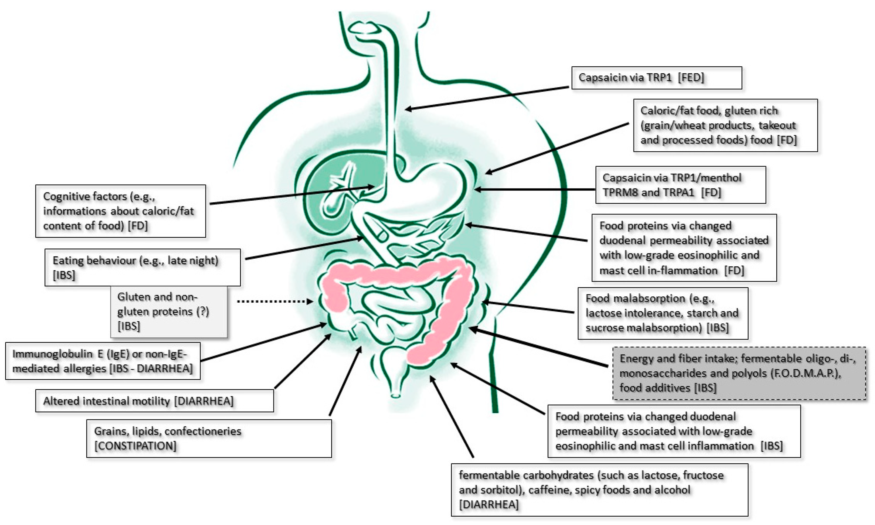 Nutrients 16 00176 g001