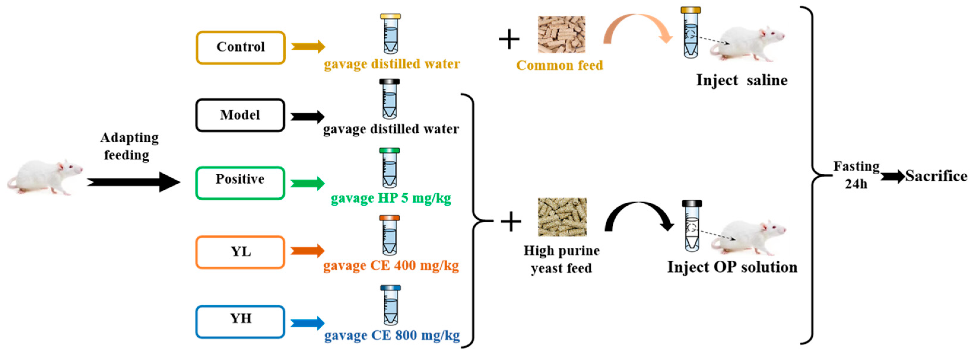 Nutrients 16 00184 g001