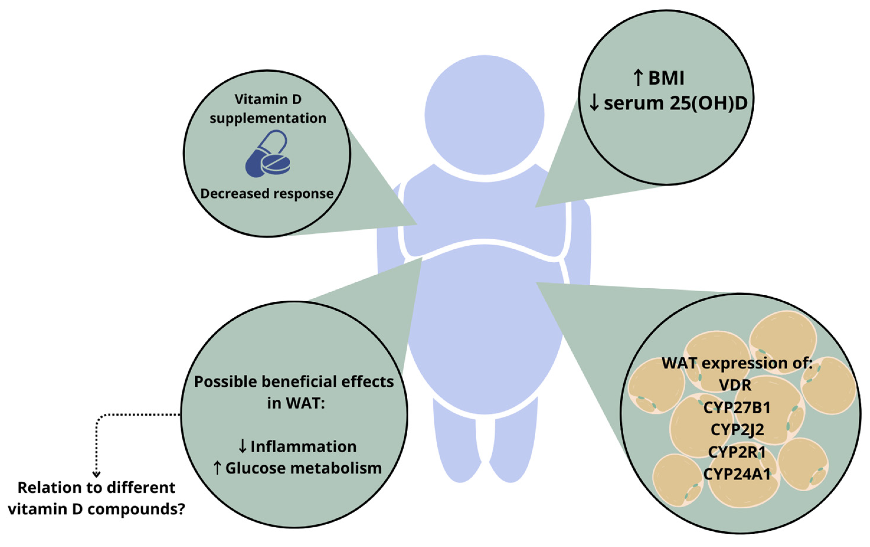 Nutrients 16 00231 g002